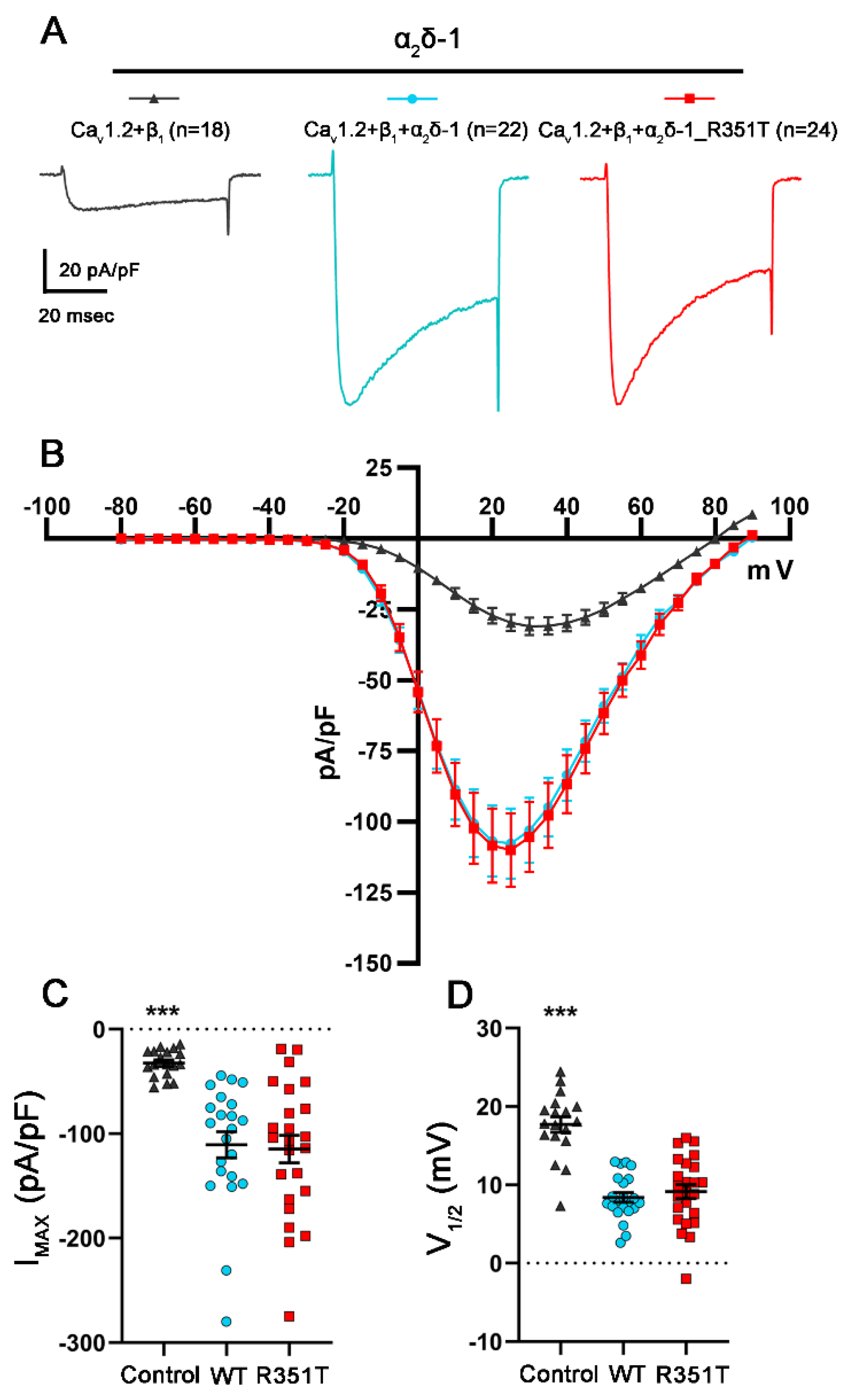 Pharmaceuticals 17 01608 g008