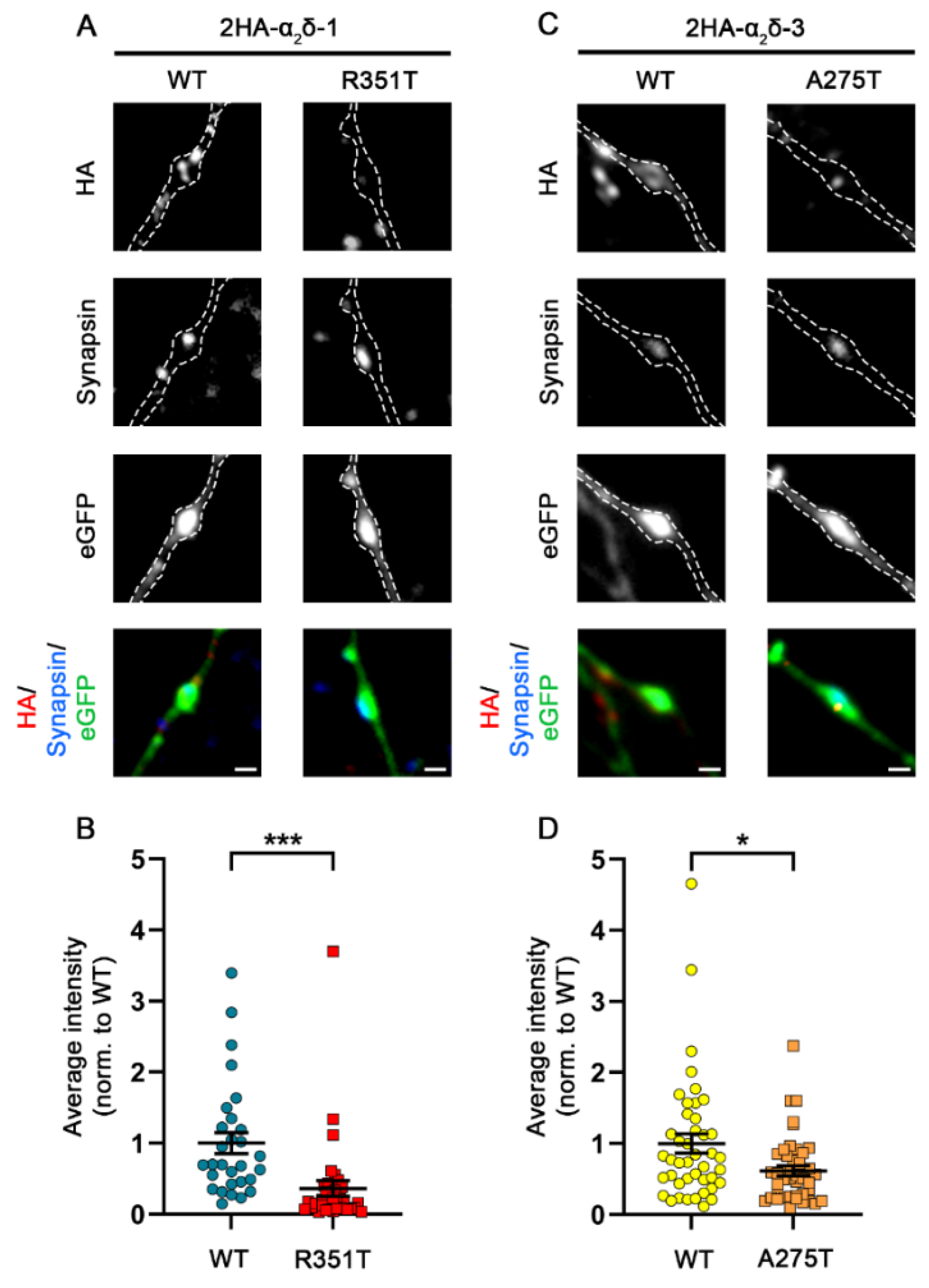 Pharmaceuticals 17 01608 g009