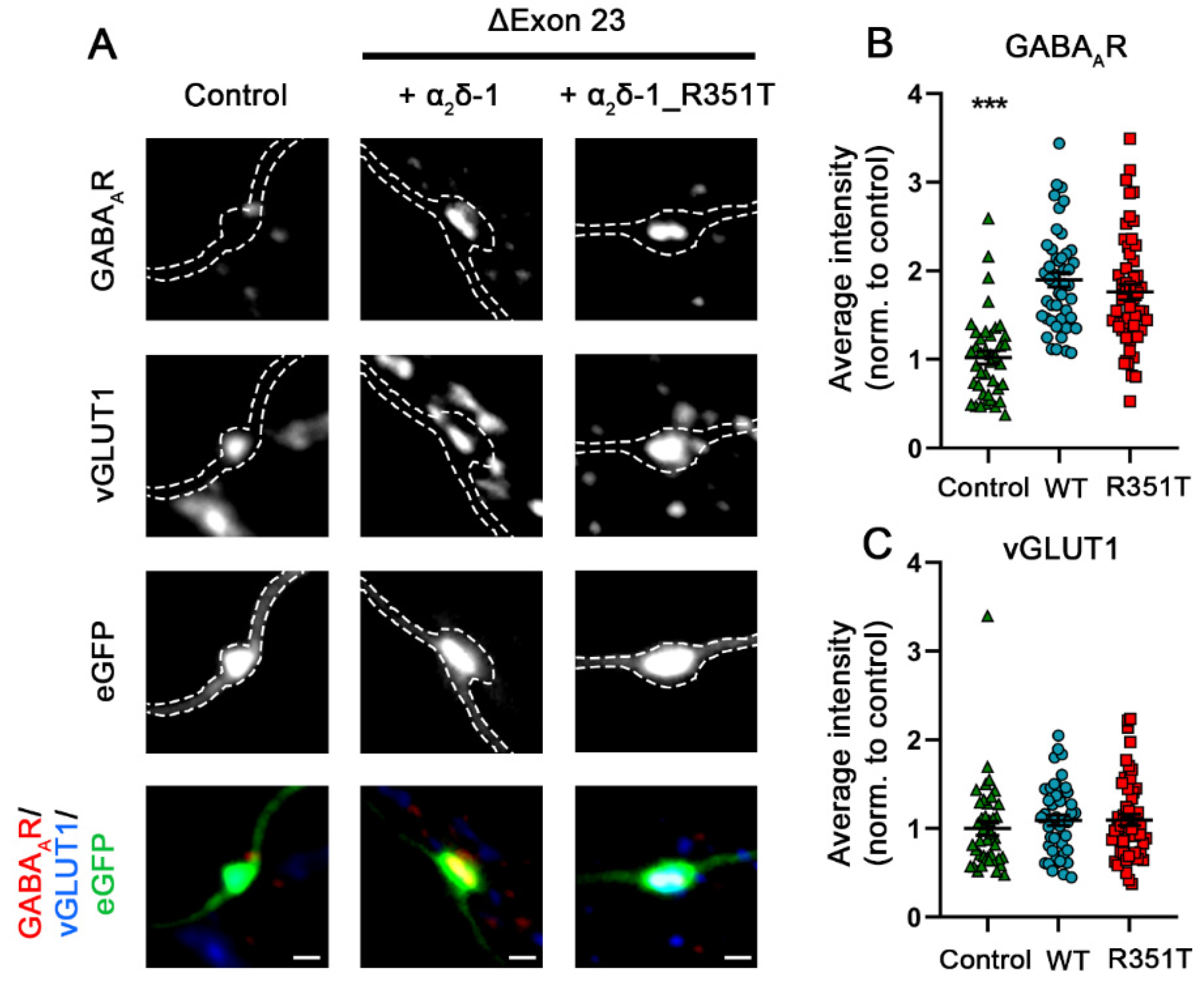 Pharmaceuticals 17 01608 g010