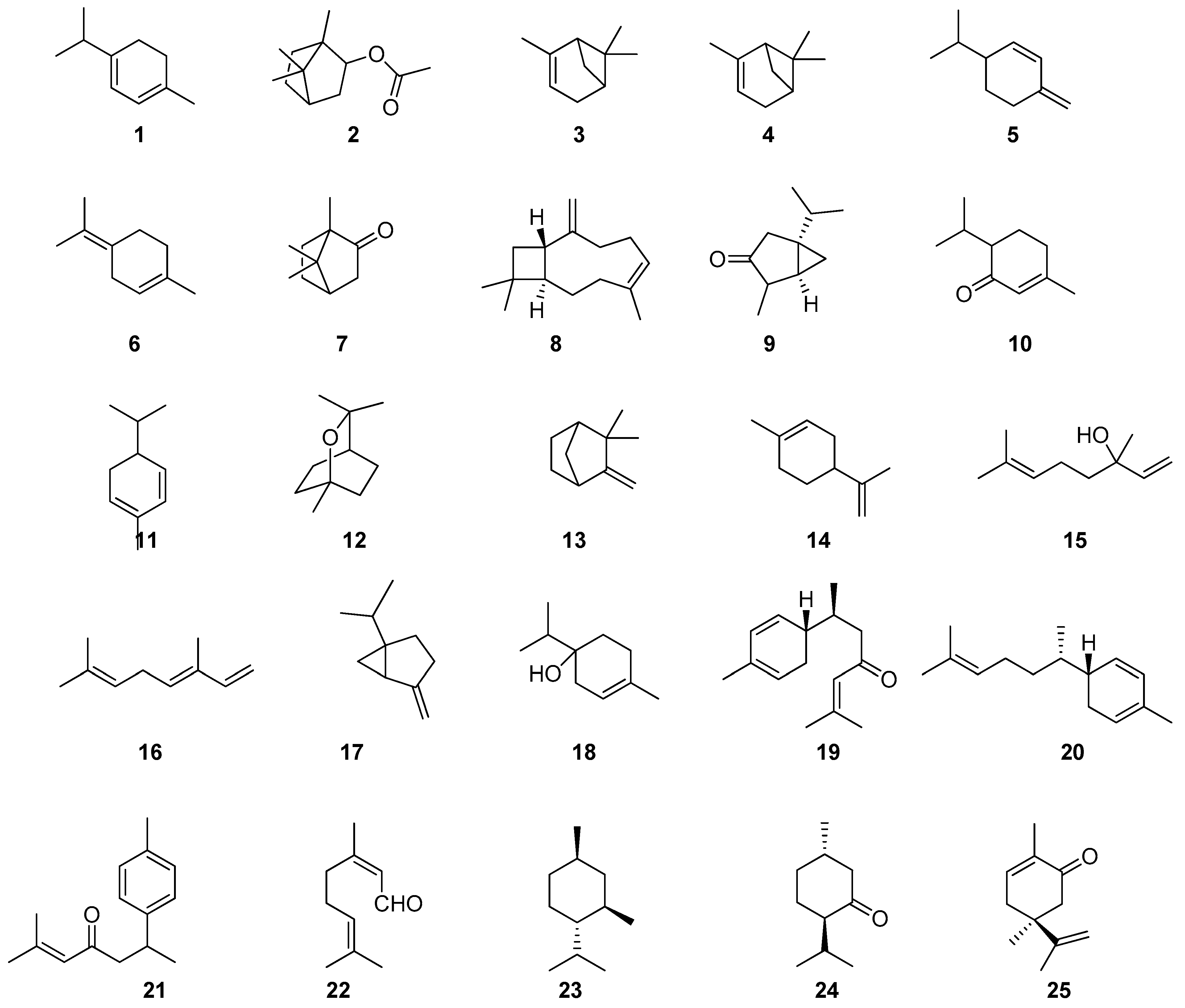 Pharmaceuticals 17 01613 g001