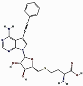 Pharmaceuticals 17 01617 i004