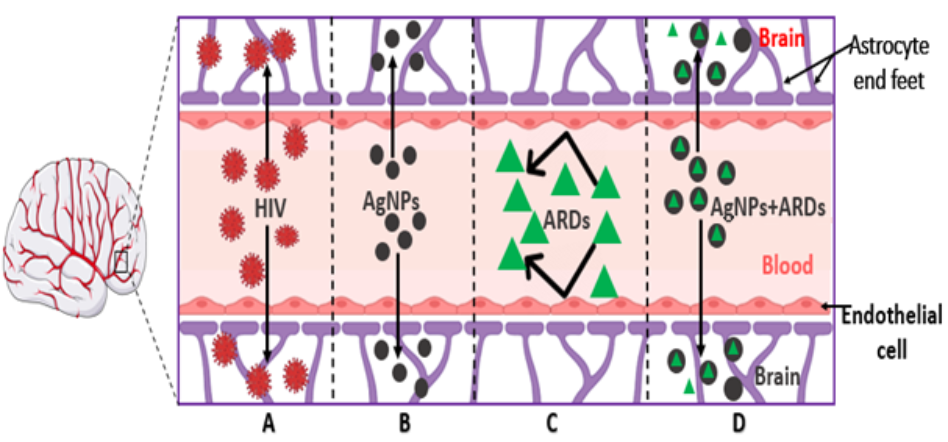 Pharmaceuticals 17 01635 g001 Pharmaceuticals 17 01635 g001