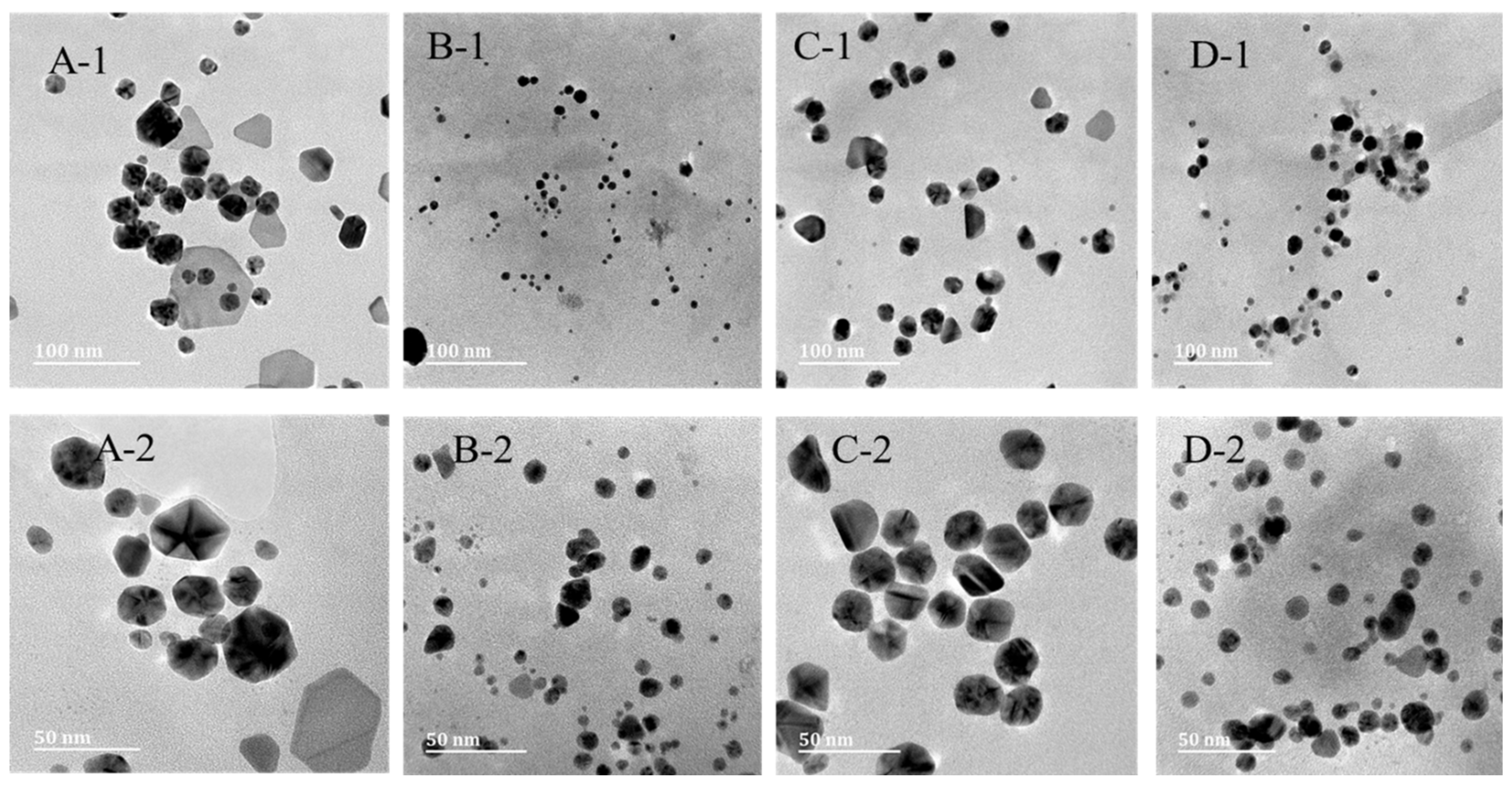 Pharmaceuticals 17 01635 g003 Pharmaceuticals 17 01635 g003