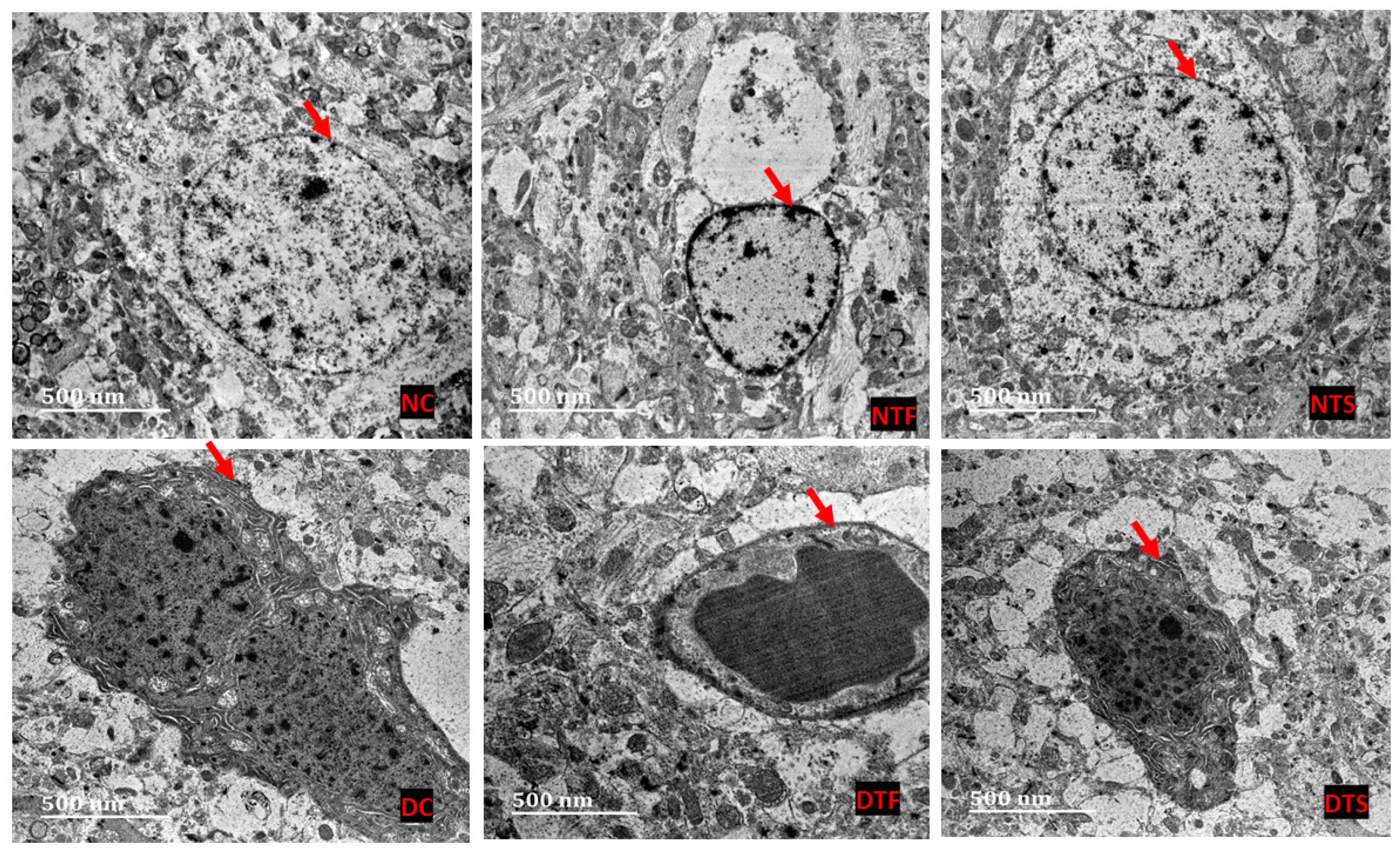 Pharmaceuticals 17 01635 g008 Pharmaceuticals 17 01635 g008