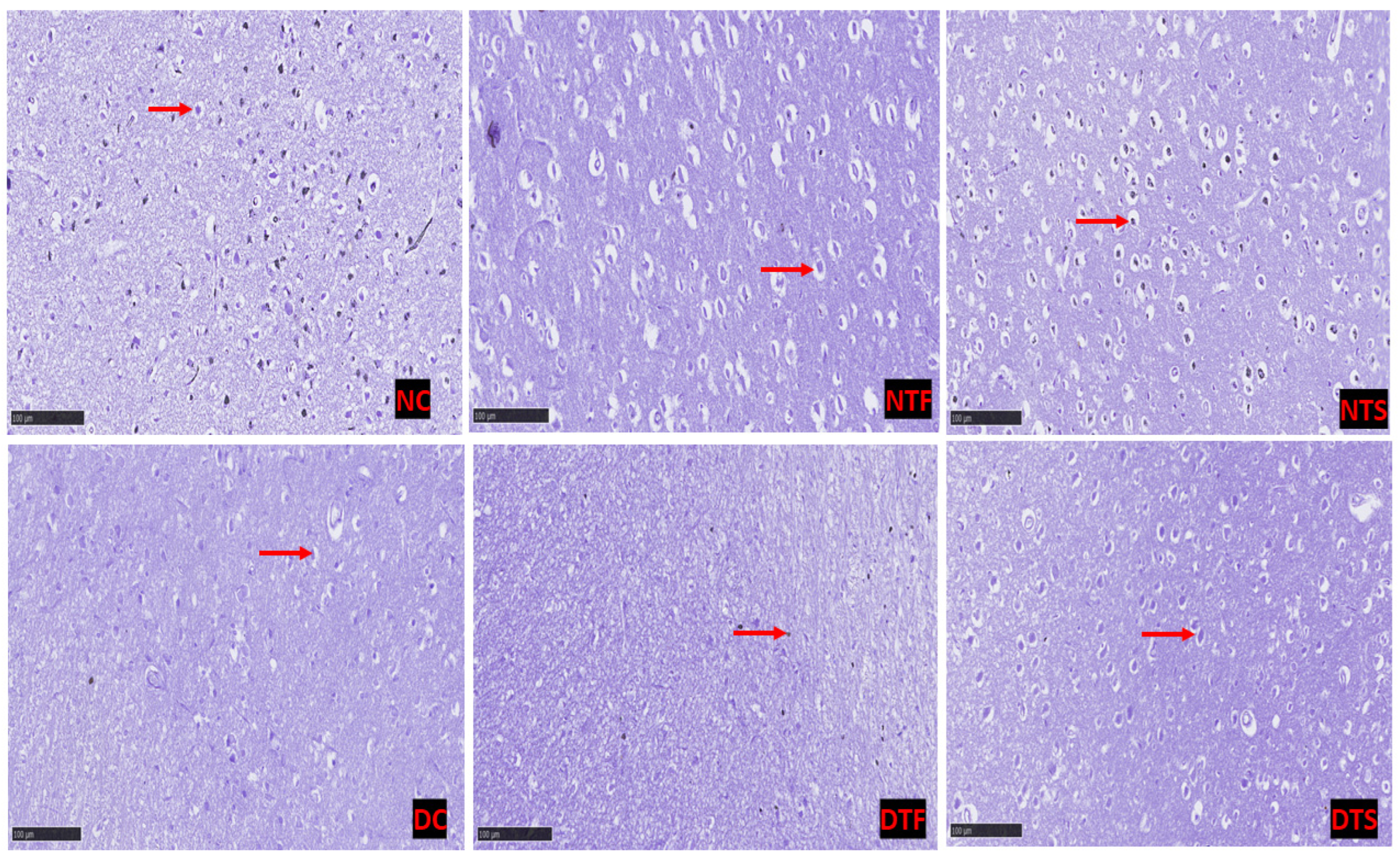 Pharmaceuticals 17 01635 g009 Pharmaceuticals 17 01635 g009