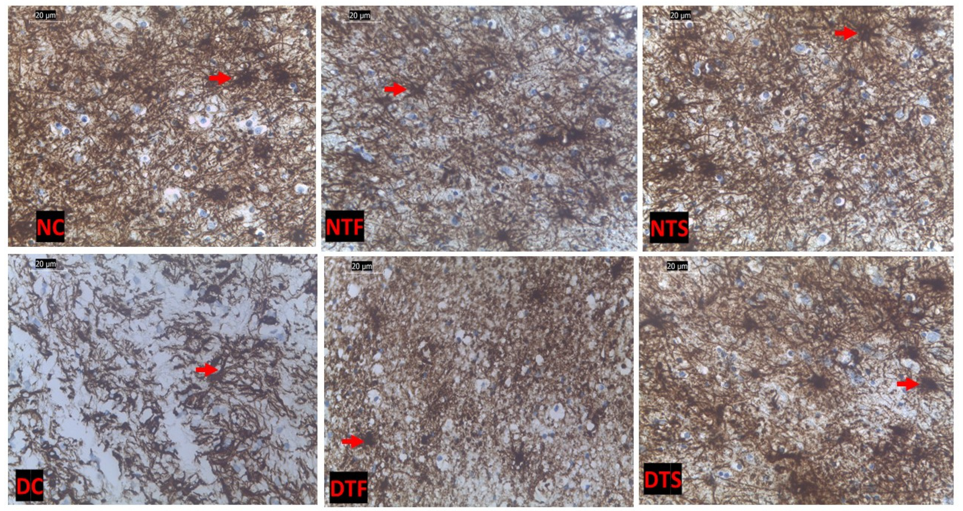 Pharmaceuticals 17 01635 g010 Pharmaceuticals 17 01635 g010