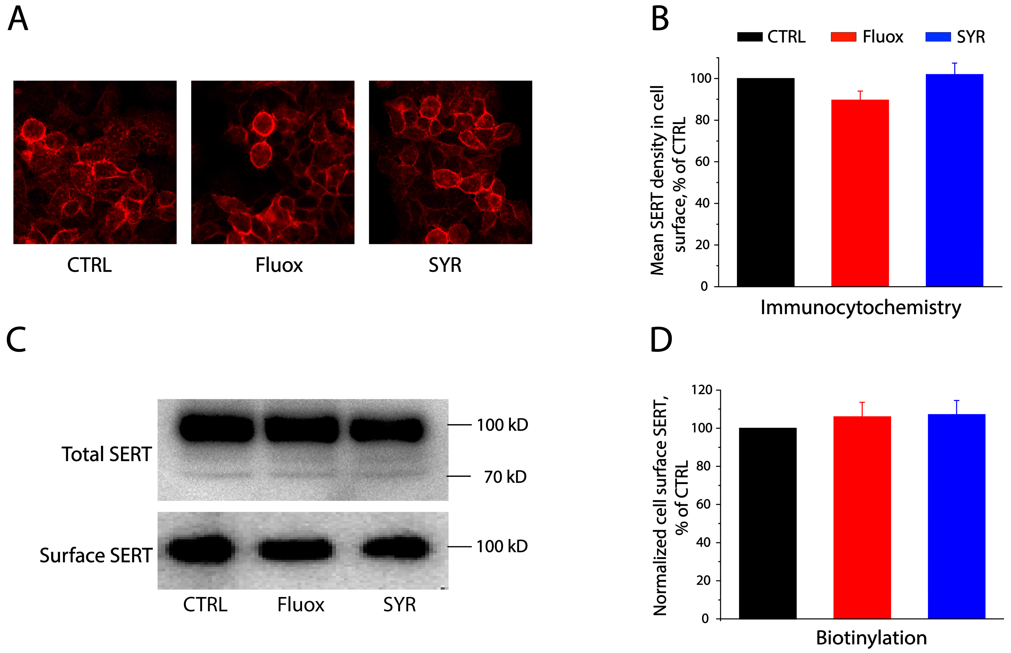 Pharmaceuticals 17 01637 g002