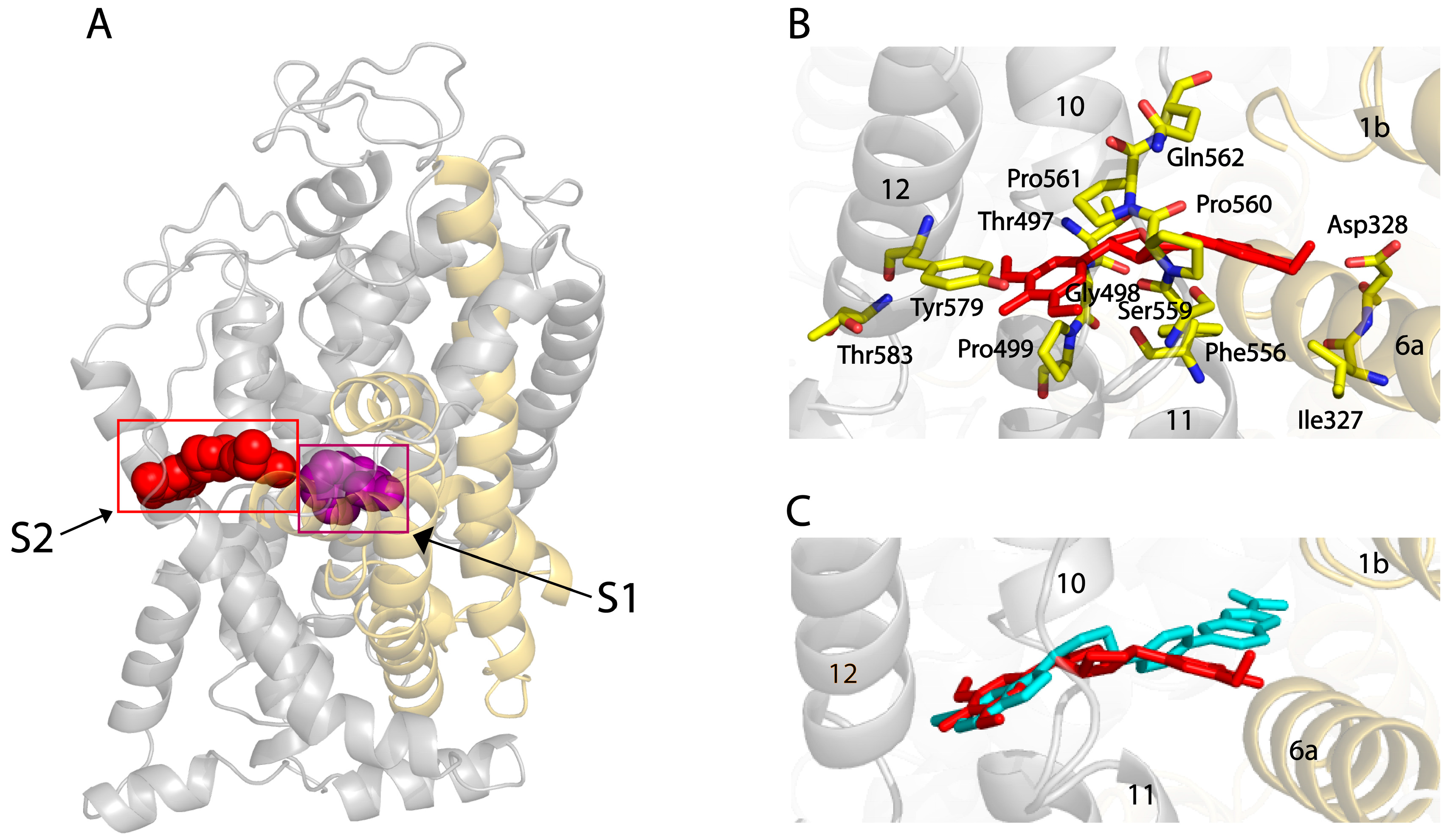 Pharmaceuticals 17 01637 g004