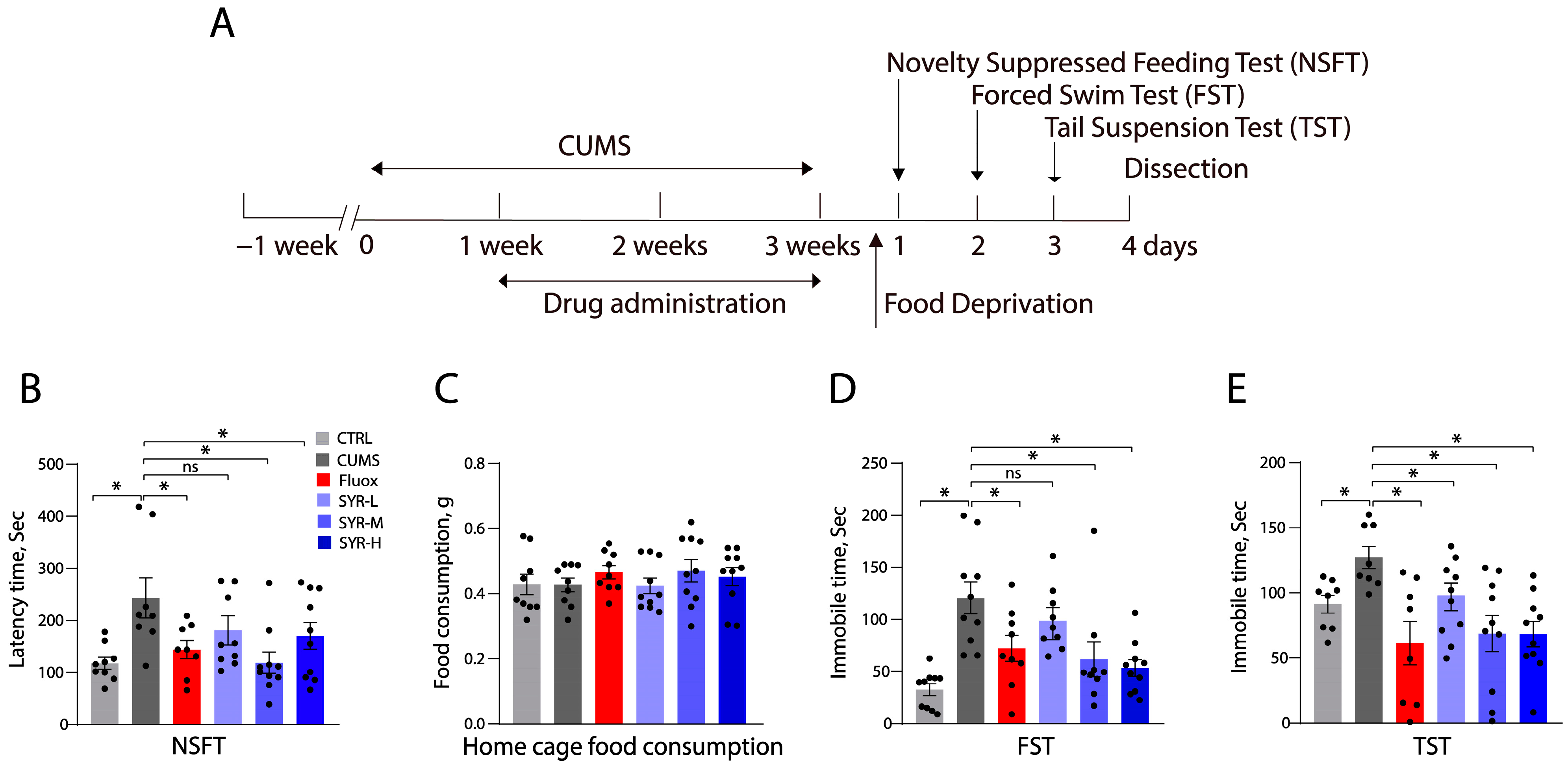Pharmaceuticals 17 01637 g006