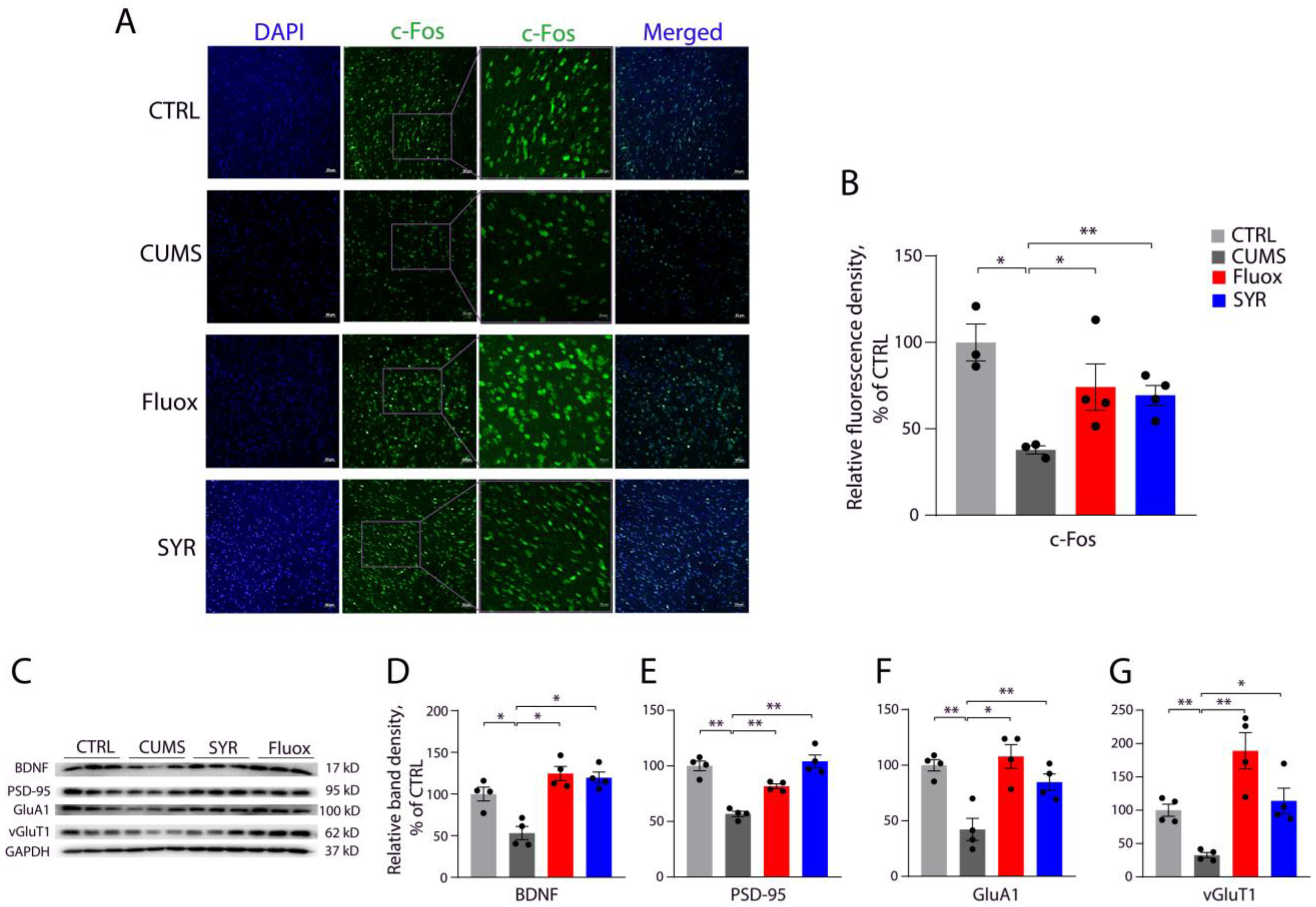 Pharmaceuticals 17 01637 g007