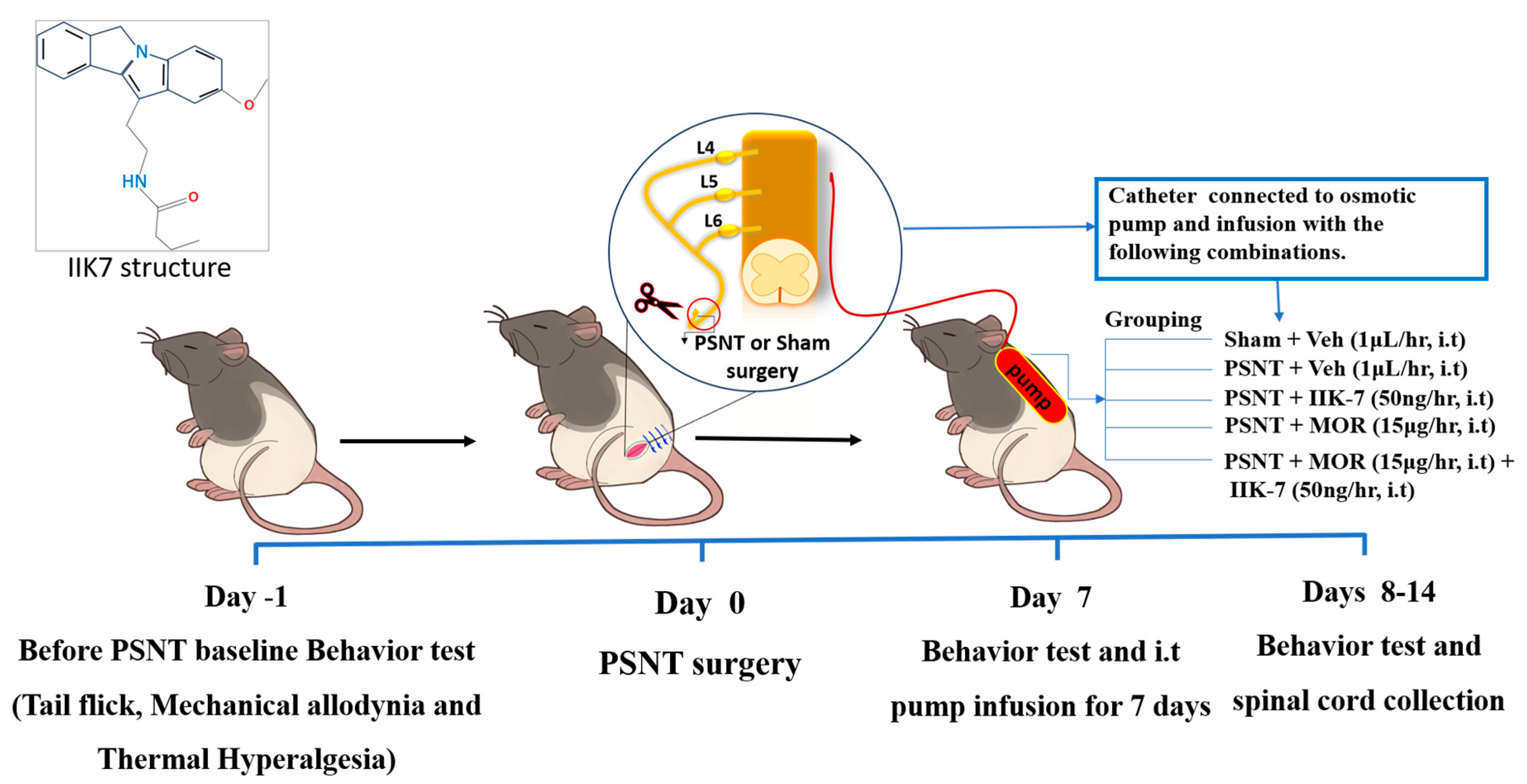 Pharmaceuticals 17 01638 g001