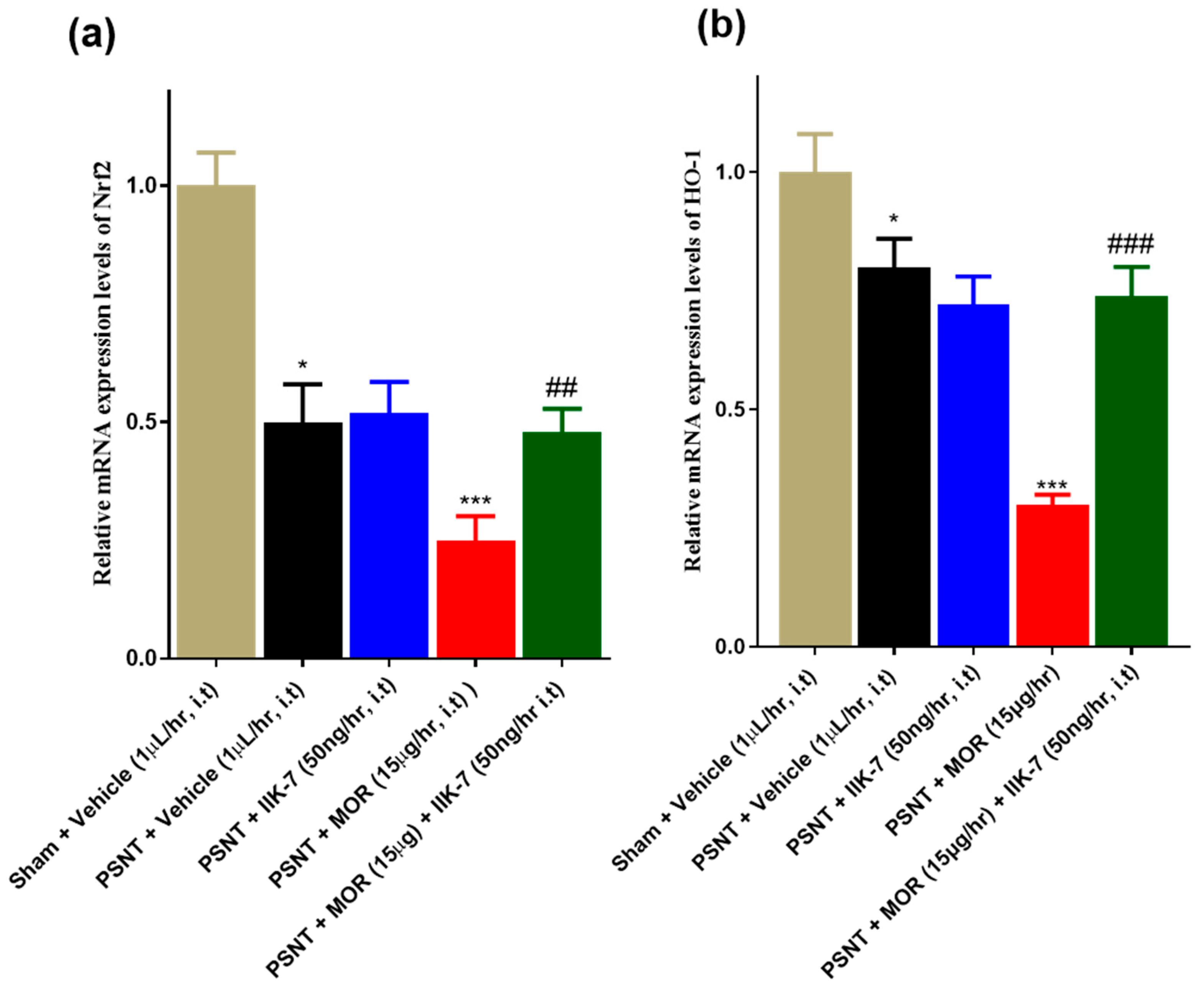 Pharmaceuticals 17 01638 g004