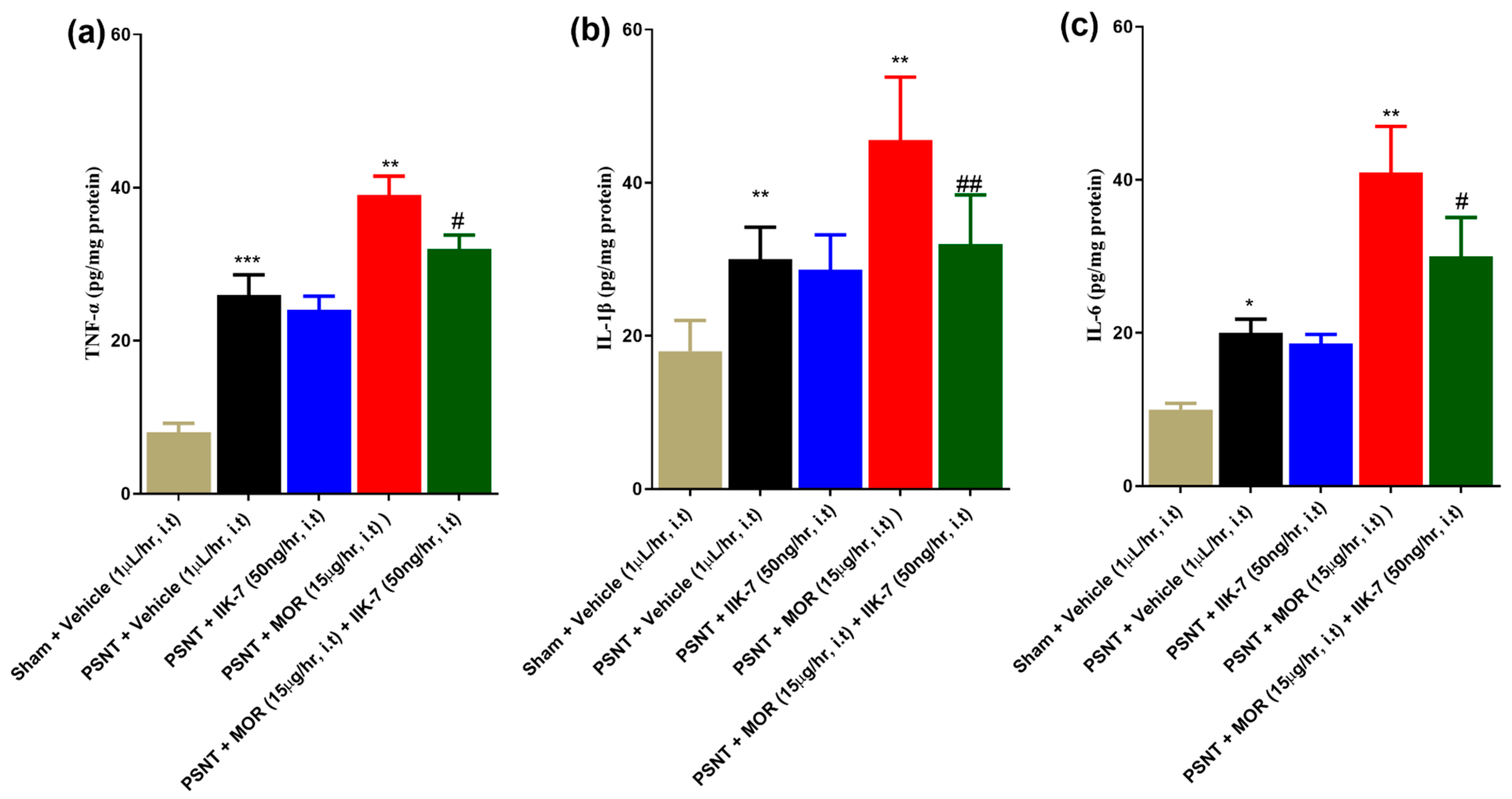 Pharmaceuticals 17 01638 g005