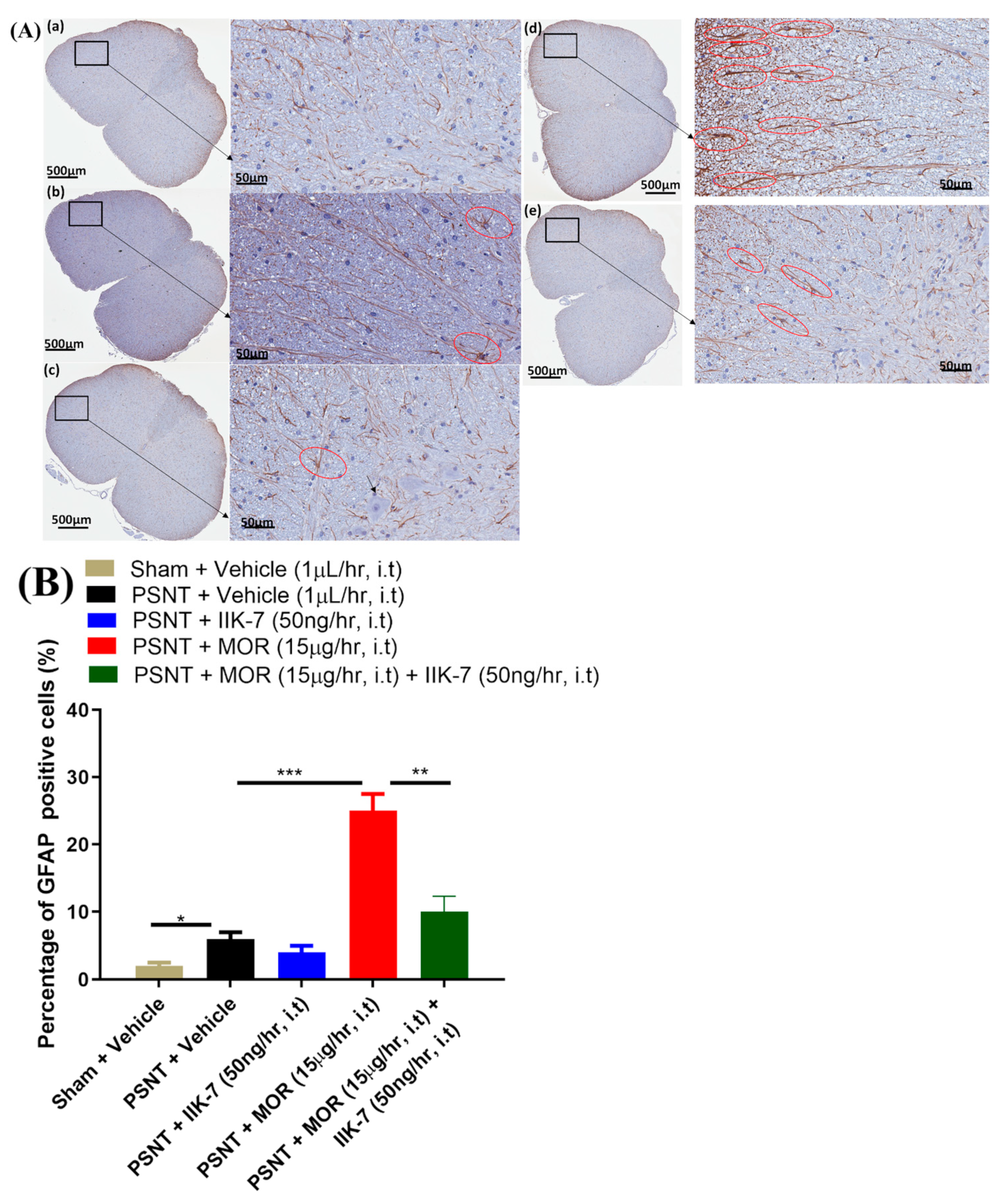 Pharmaceuticals 17 01638 g010