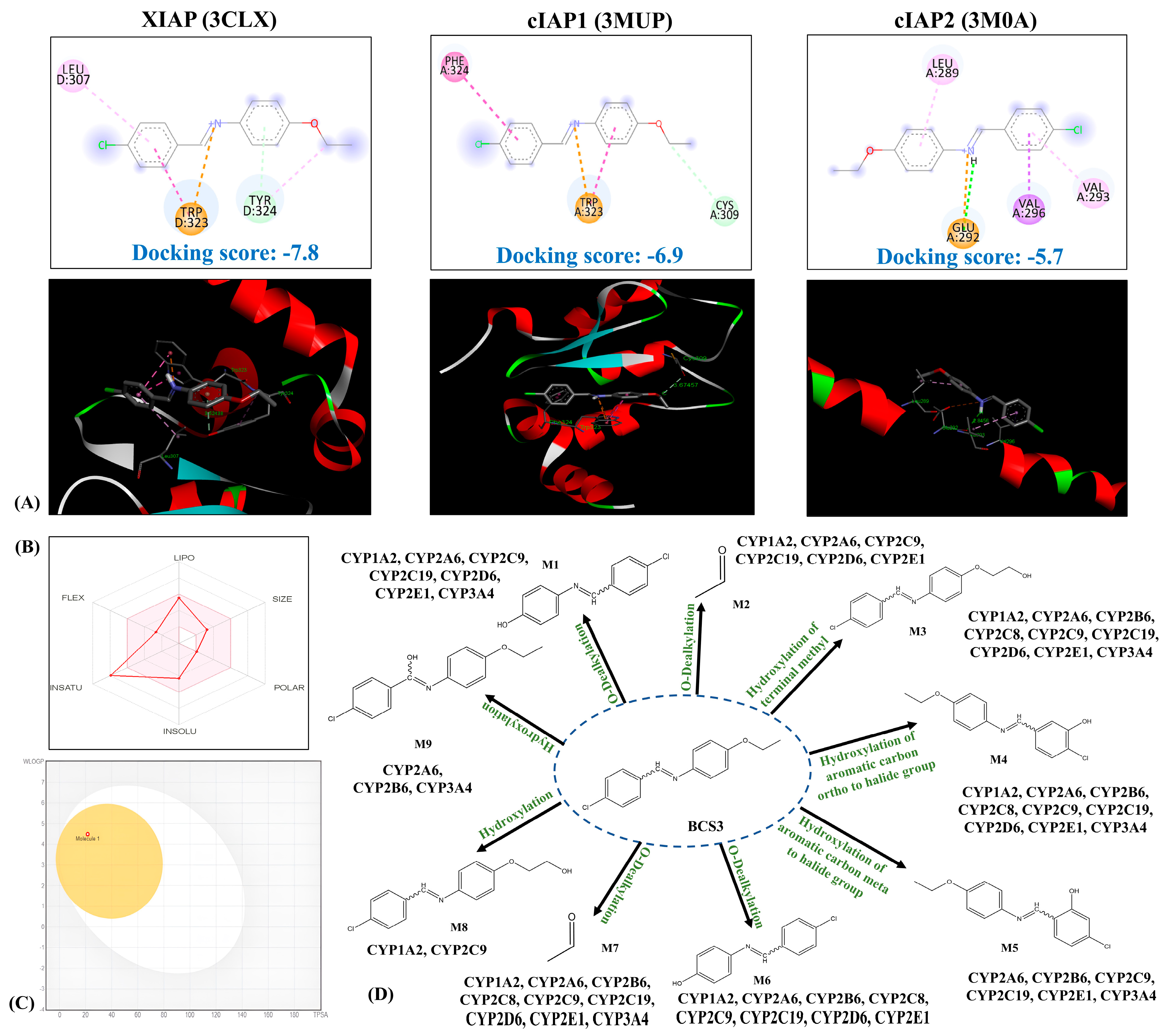 Pharmaceuticals 17 01645 g001