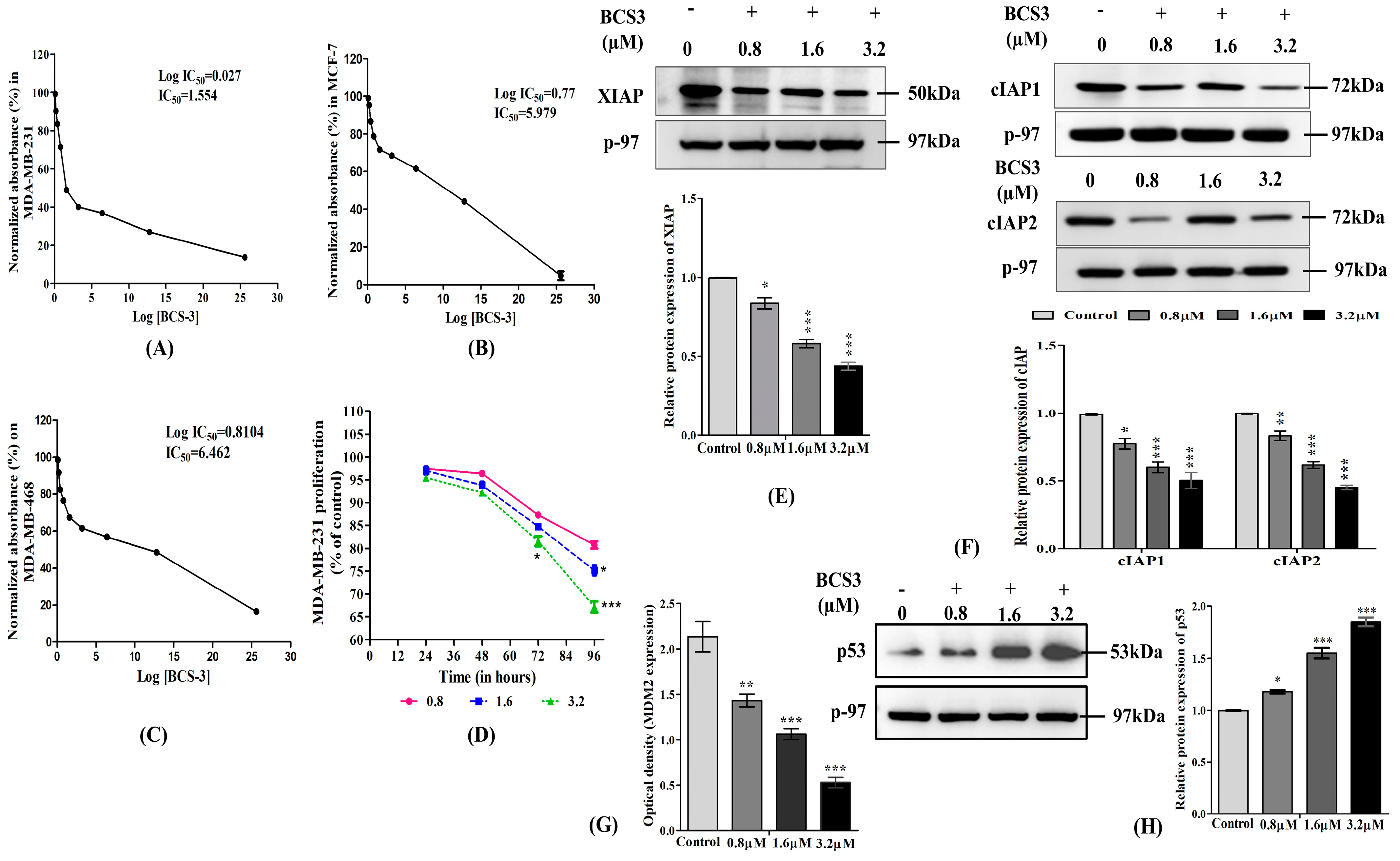 Pharmaceuticals 17 01645 g002