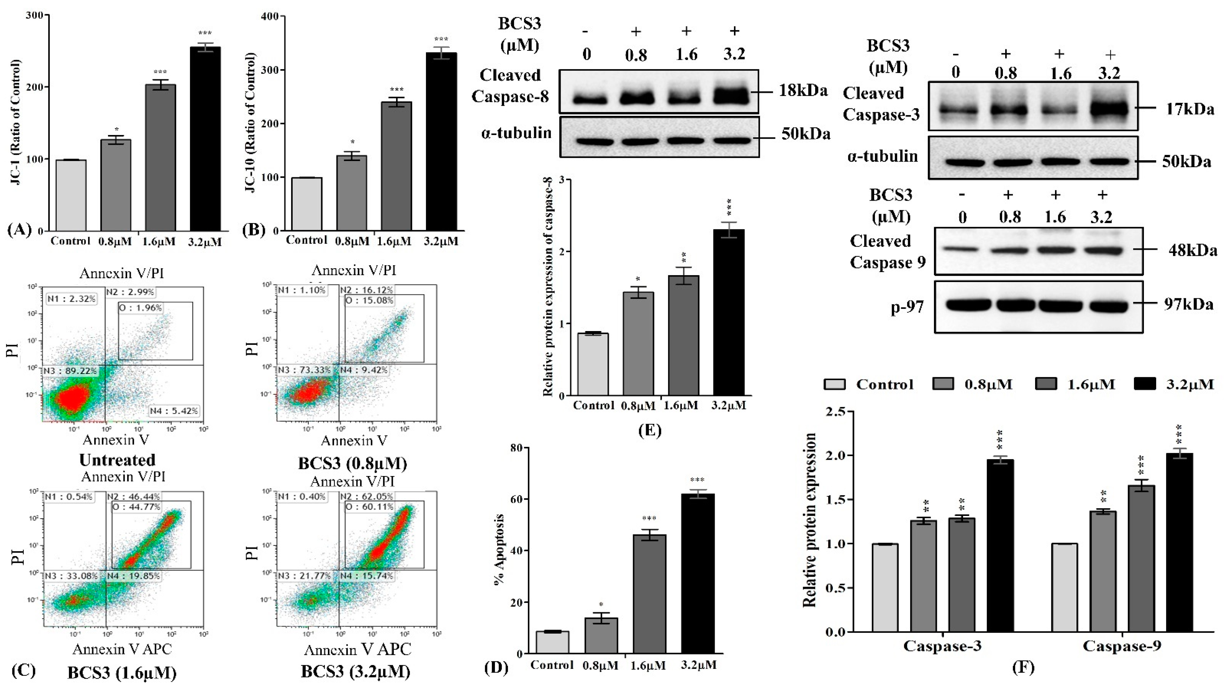 Pharmaceuticals 17 01645 g004