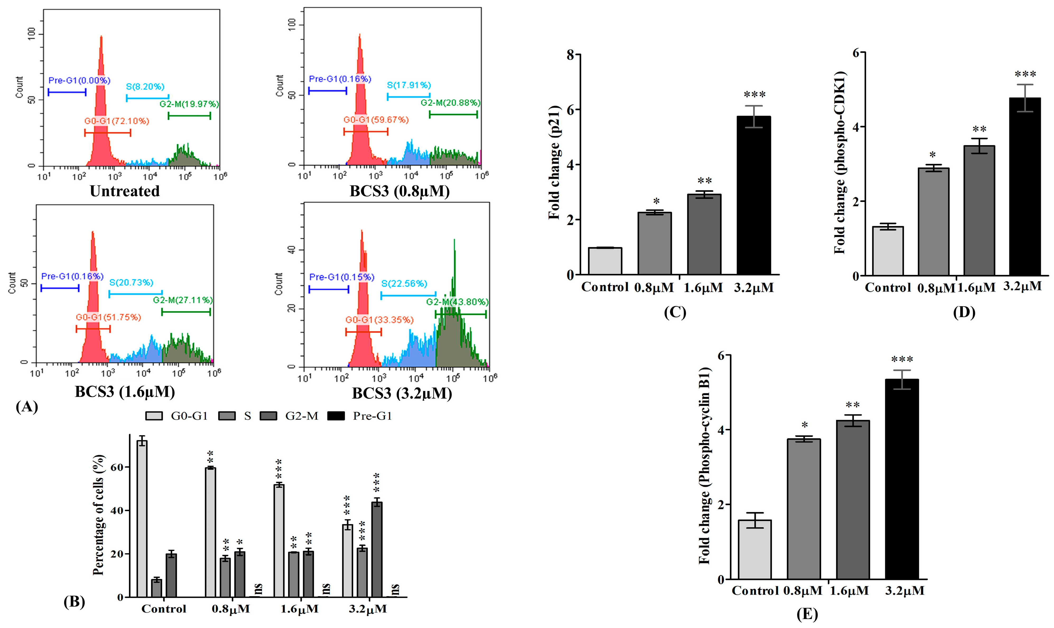 Pharmaceuticals 17 01645 g007