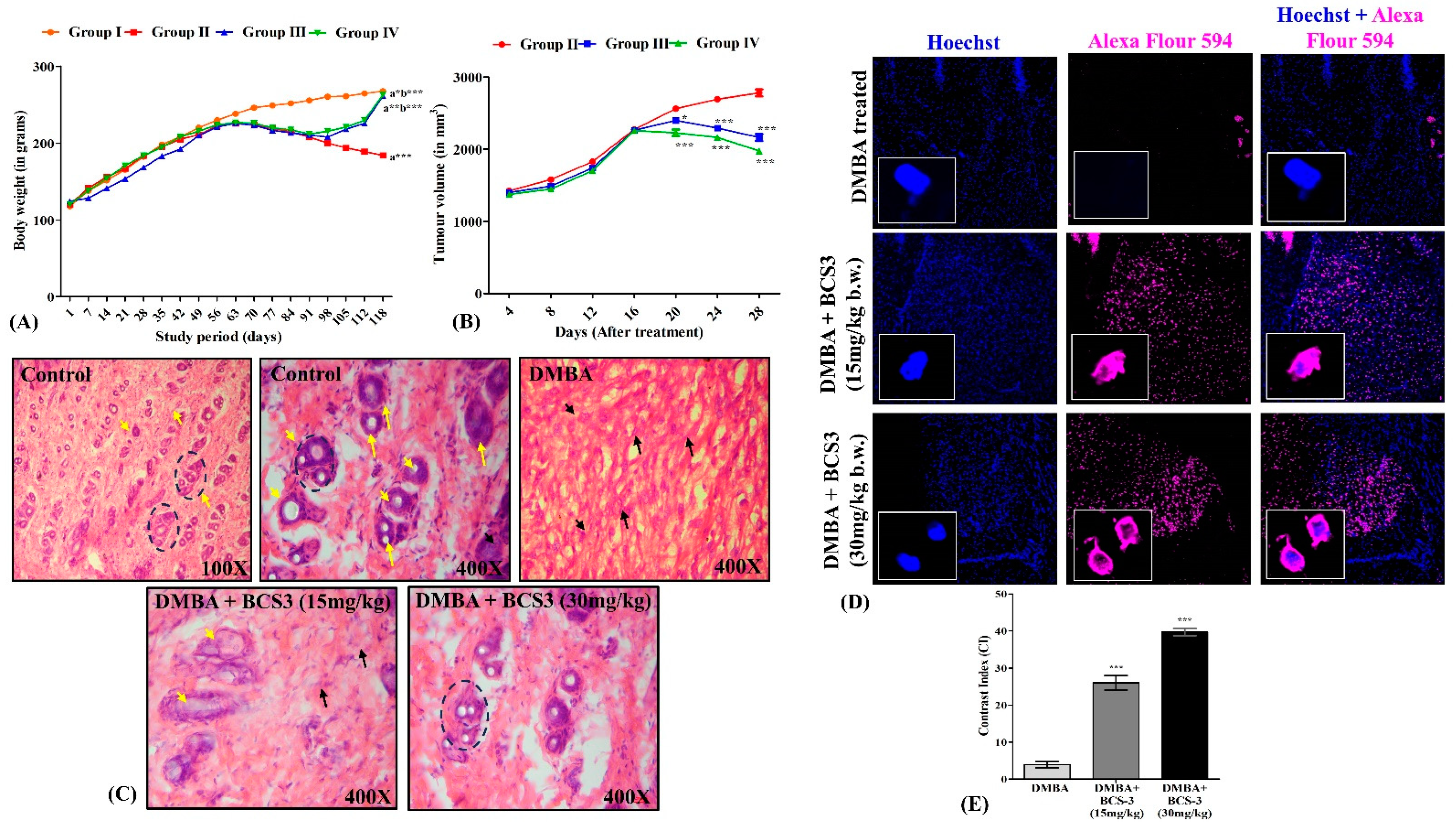 Pharmaceuticals 17 01645 g008