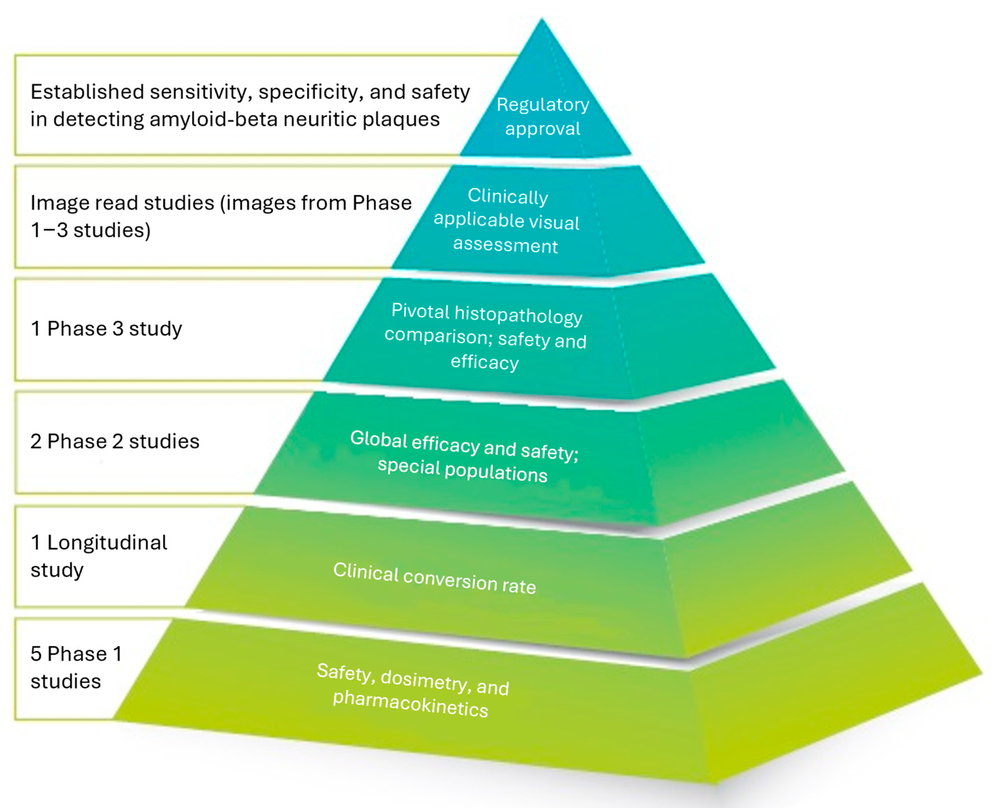 Pharmaceuticals 17 01648 g002