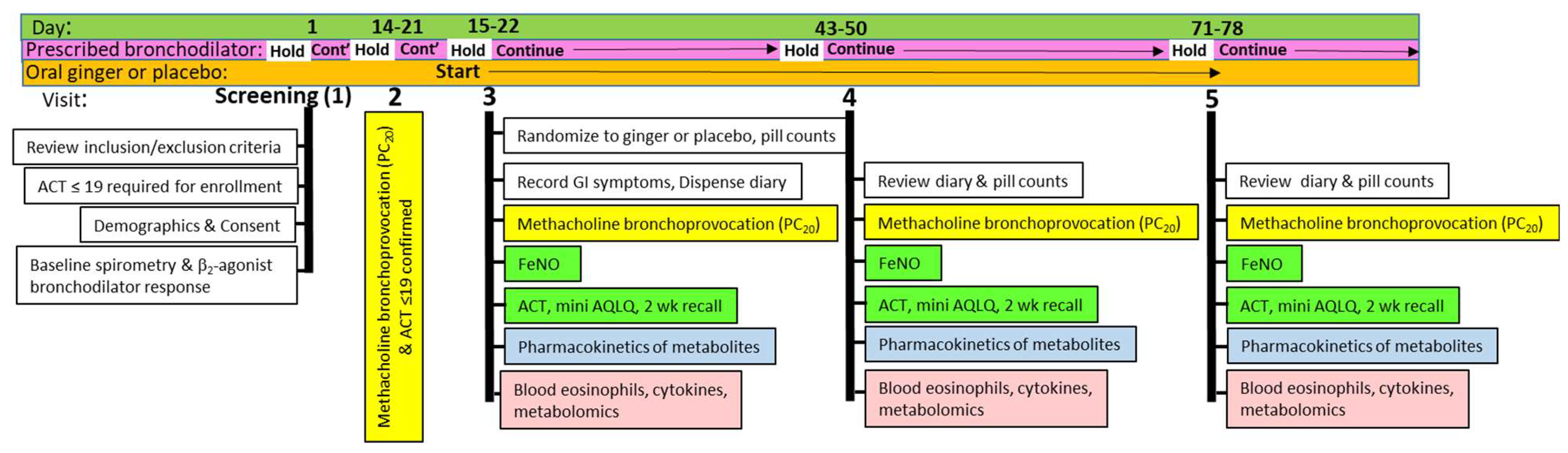 Pharmaceuticals 17 01651 g005