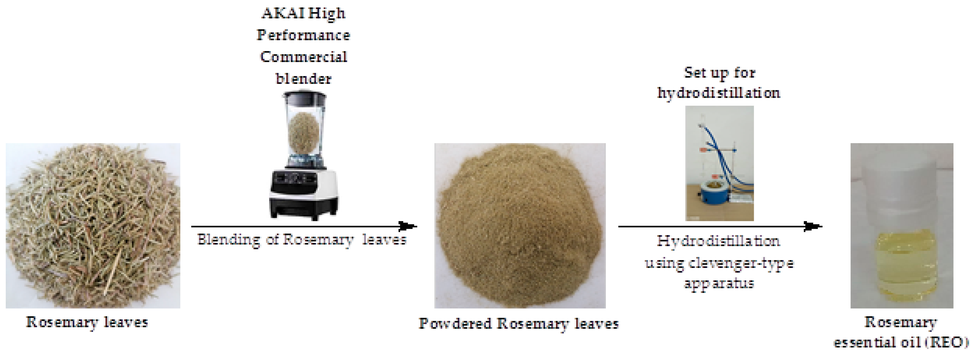 Pharmaceuticals 17 01653 g003