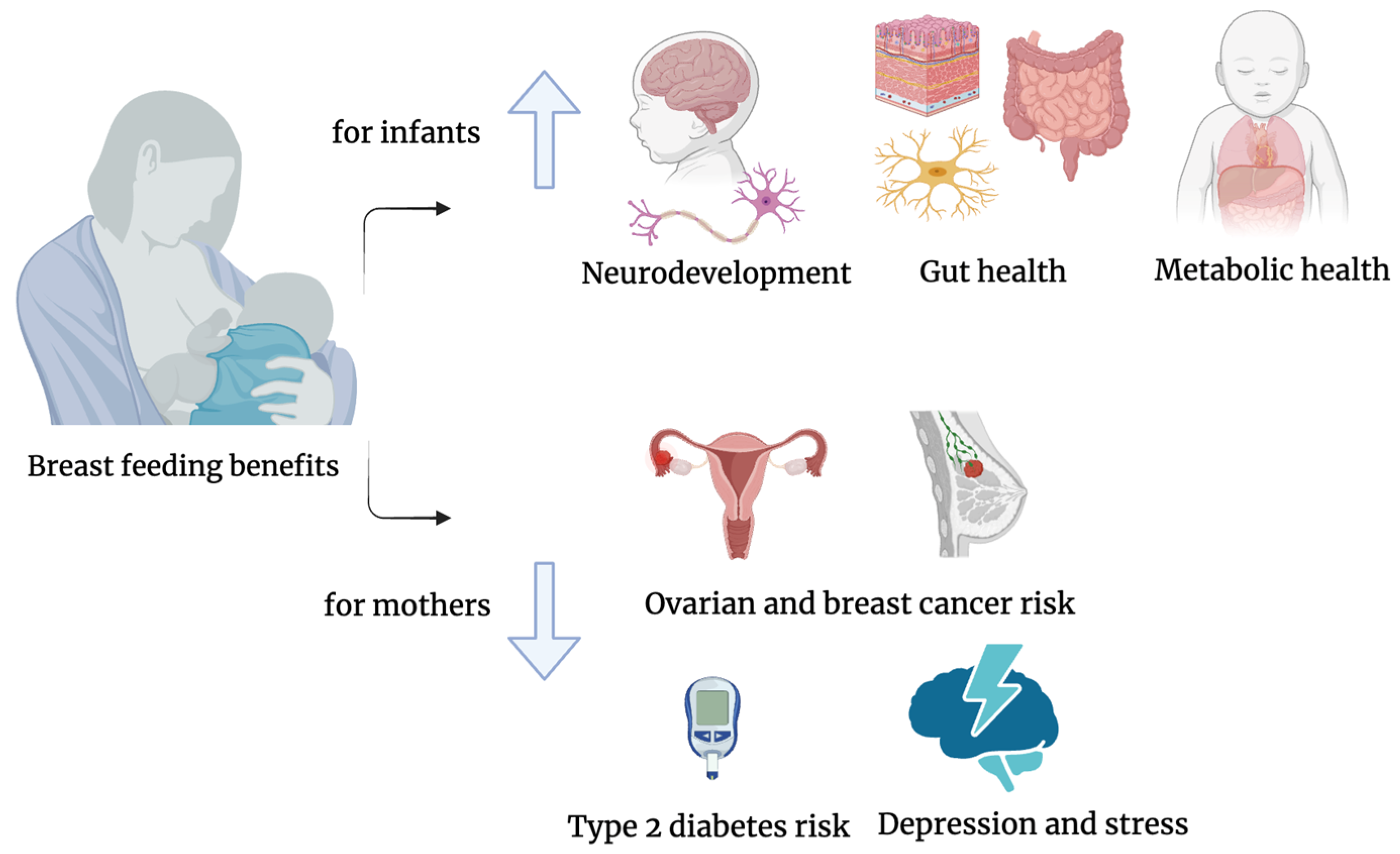 Pharmaceuticals 17 01654 g001