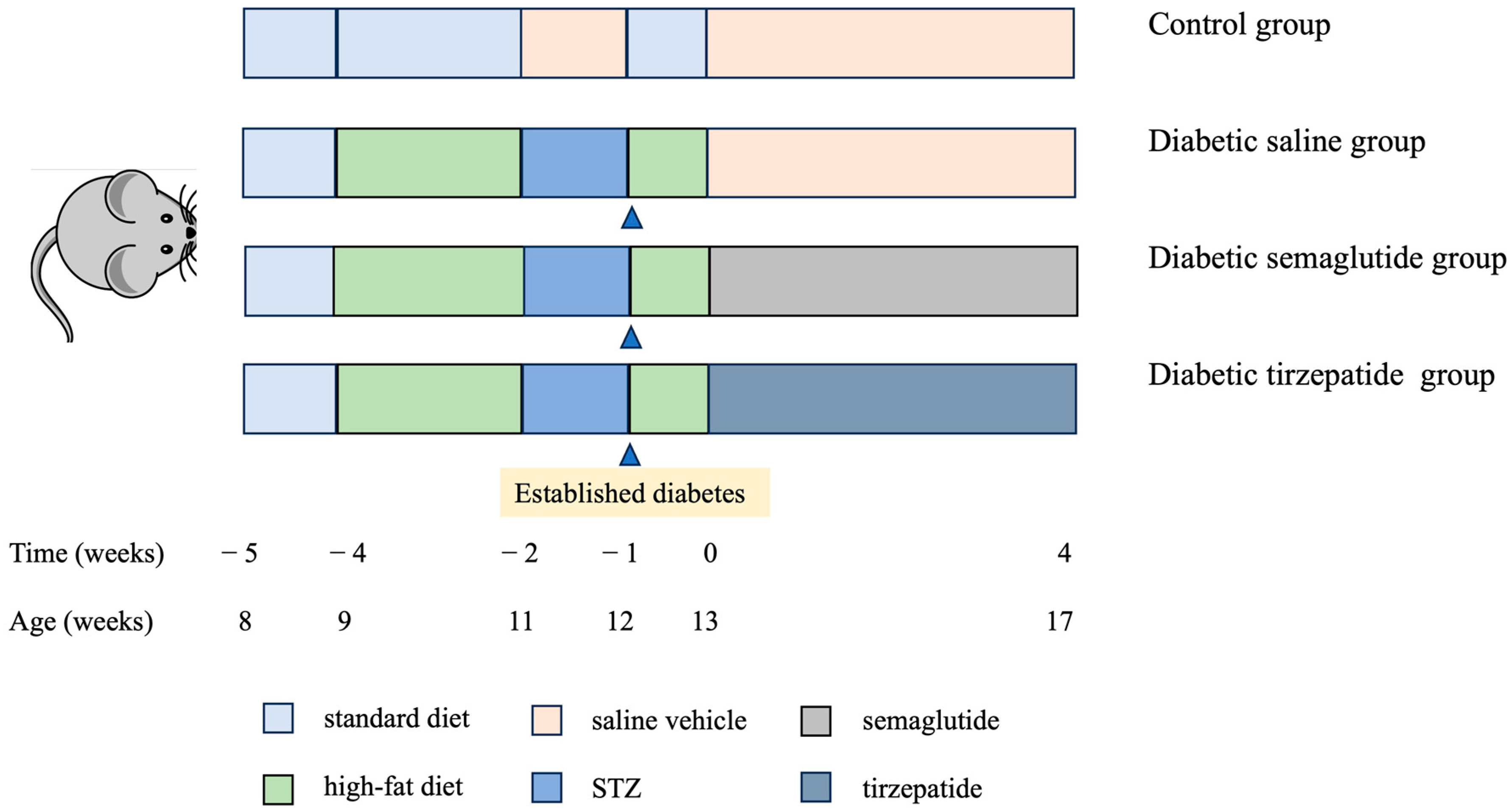 Pharmaceuticals 17 01655 g007