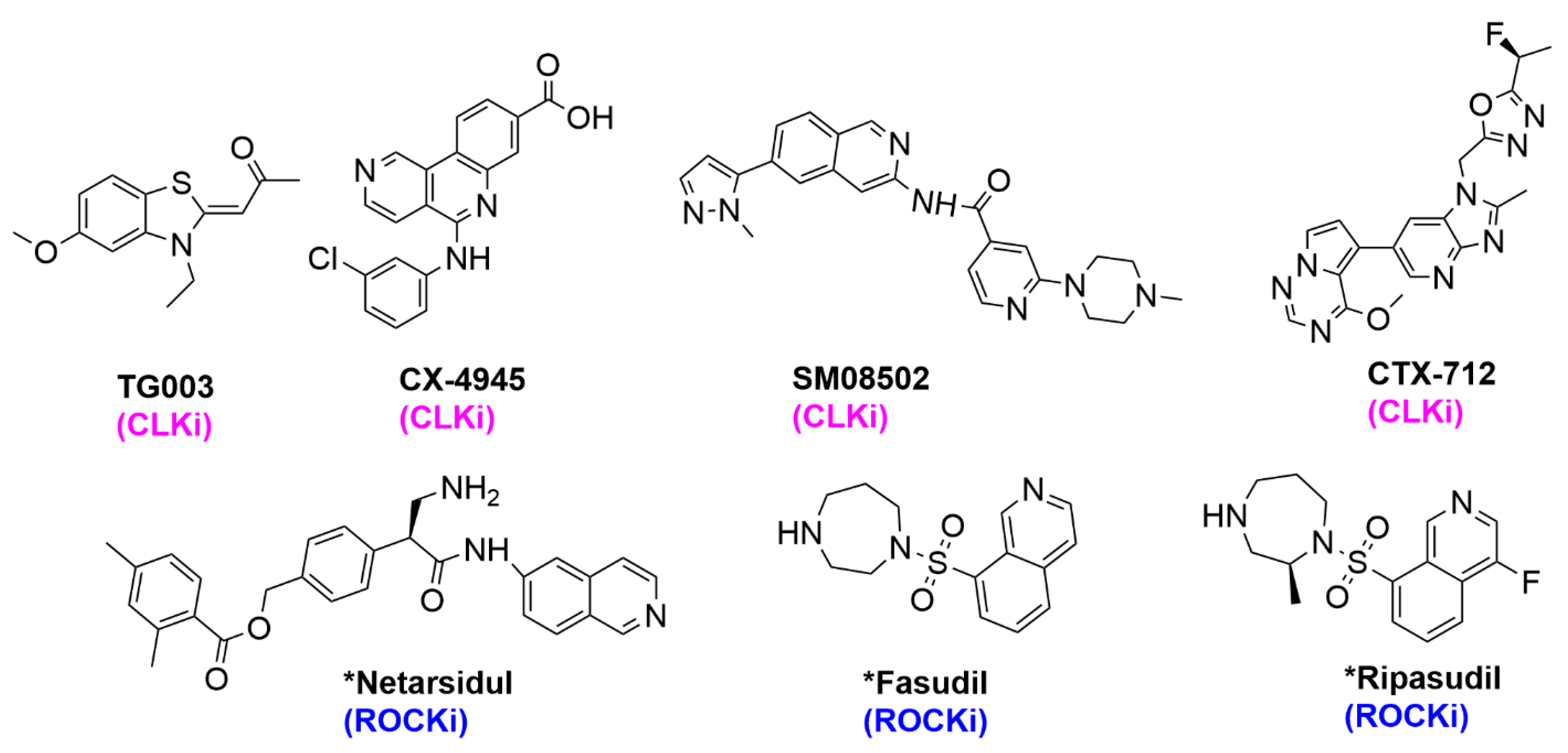Pharmaceuticals 17 01660 g004