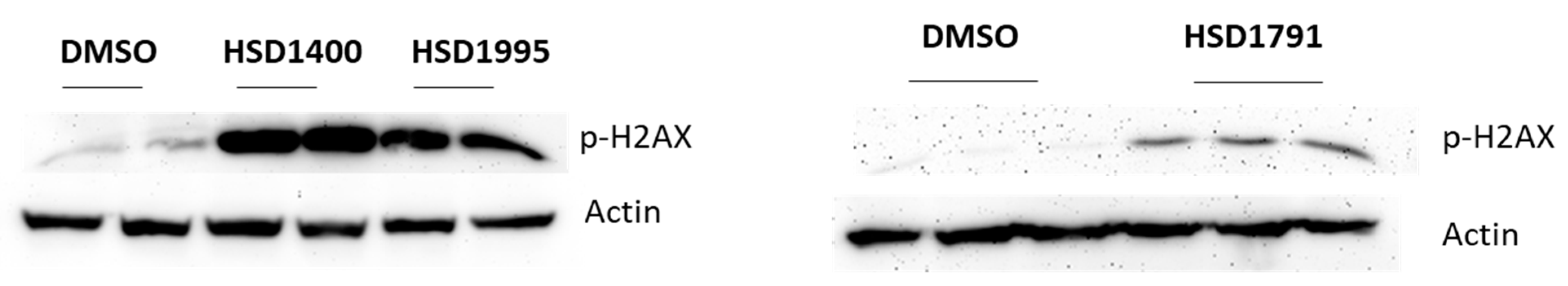 Pharmaceuticals 17 01660 g006