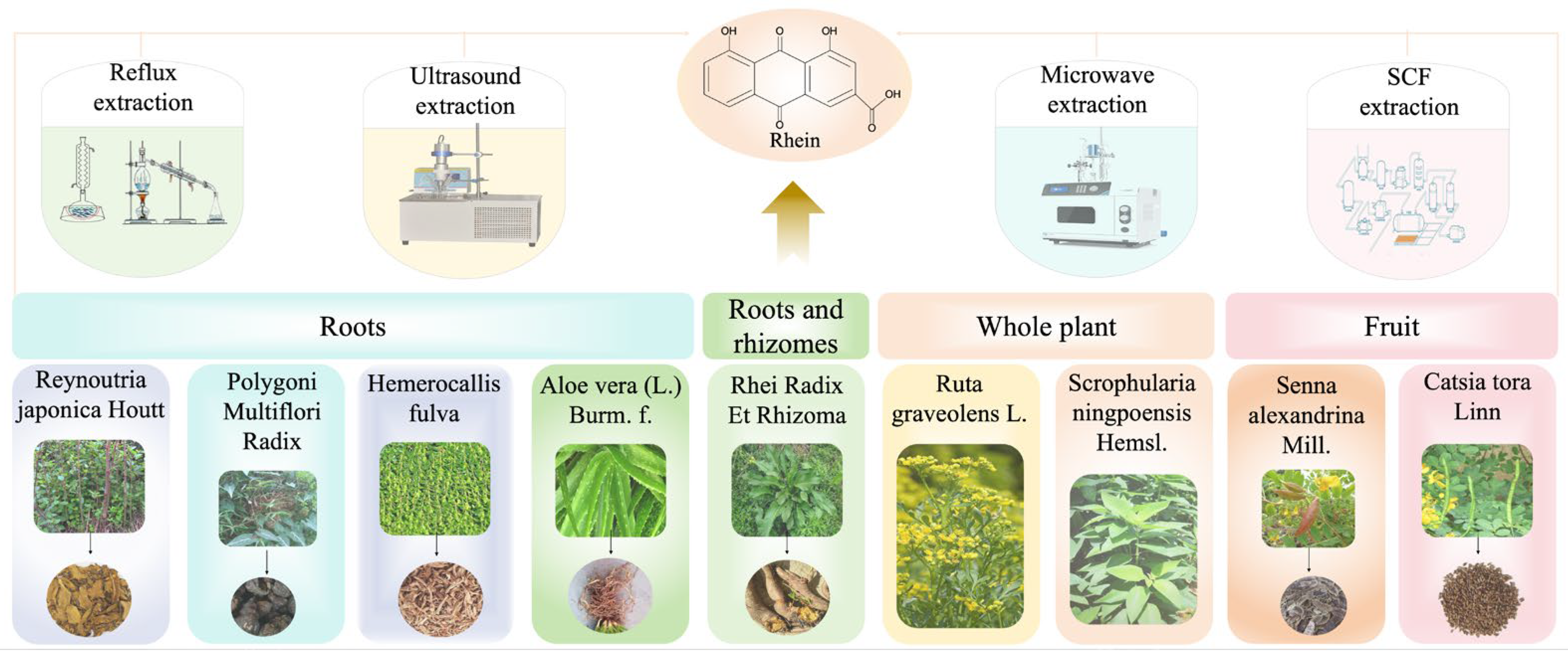 Pharmaceuticals 17 01665 g001