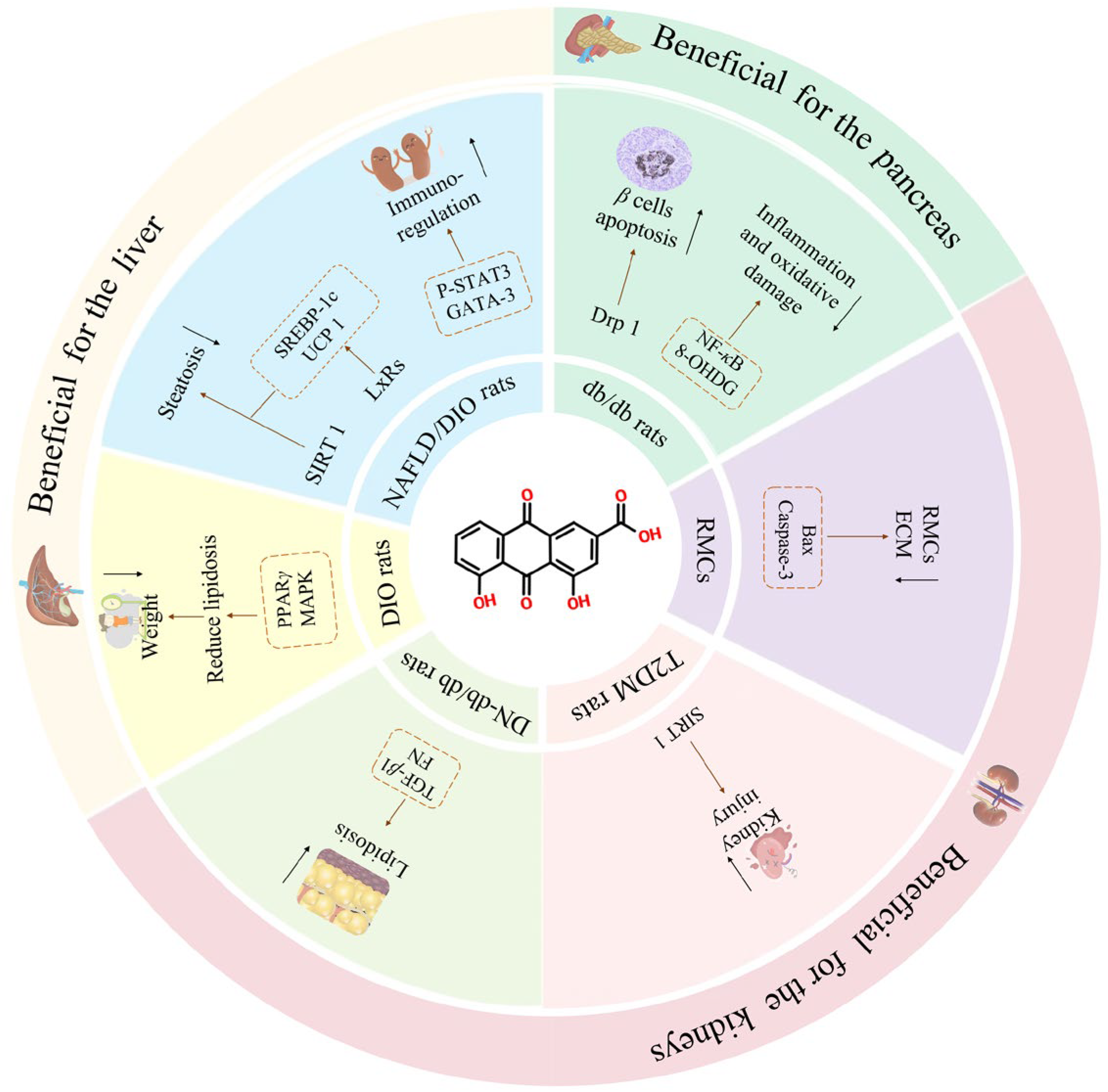 Pharmaceuticals 17 01665 g002