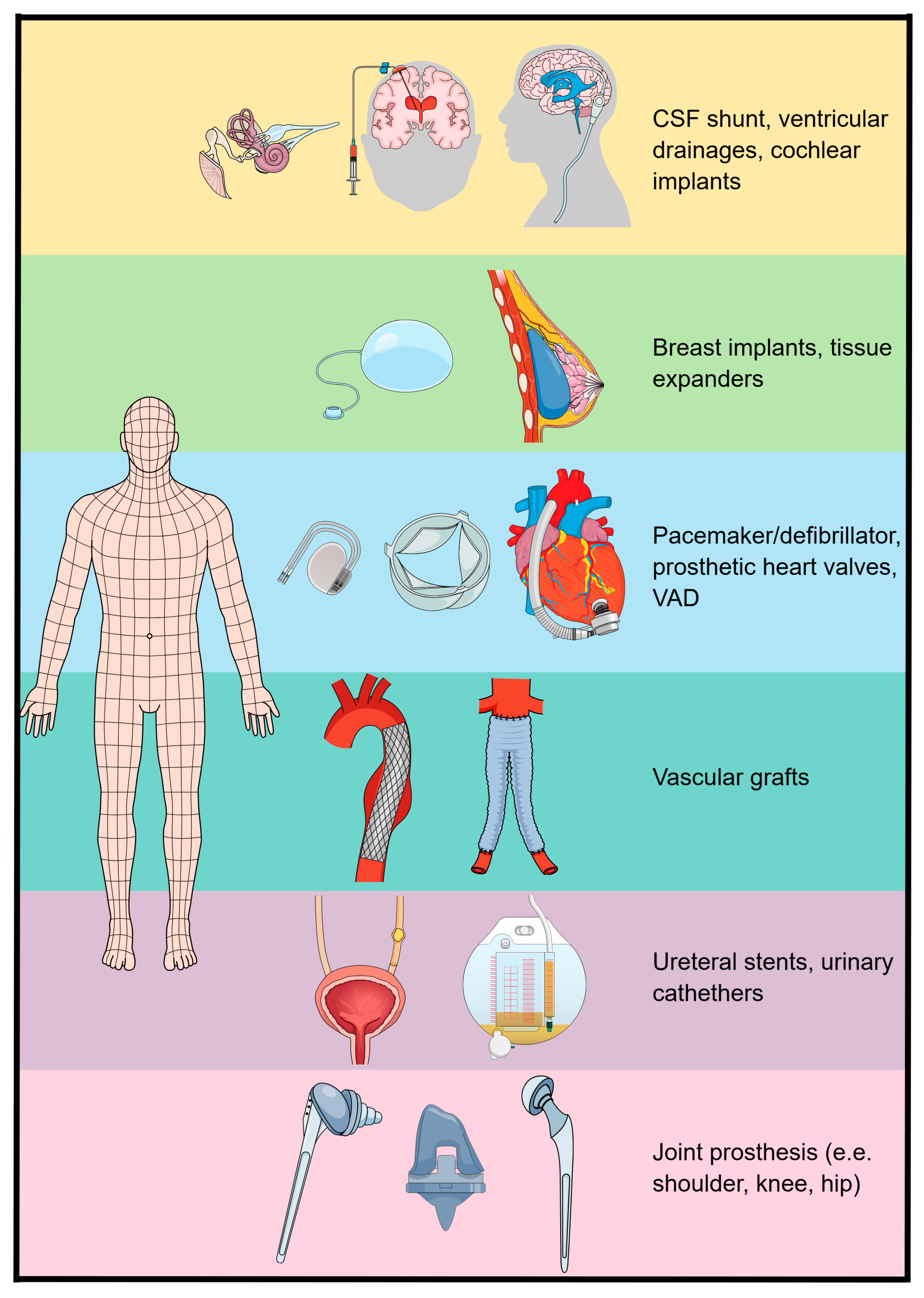 Pharmaceuticals 17 01673 g006
