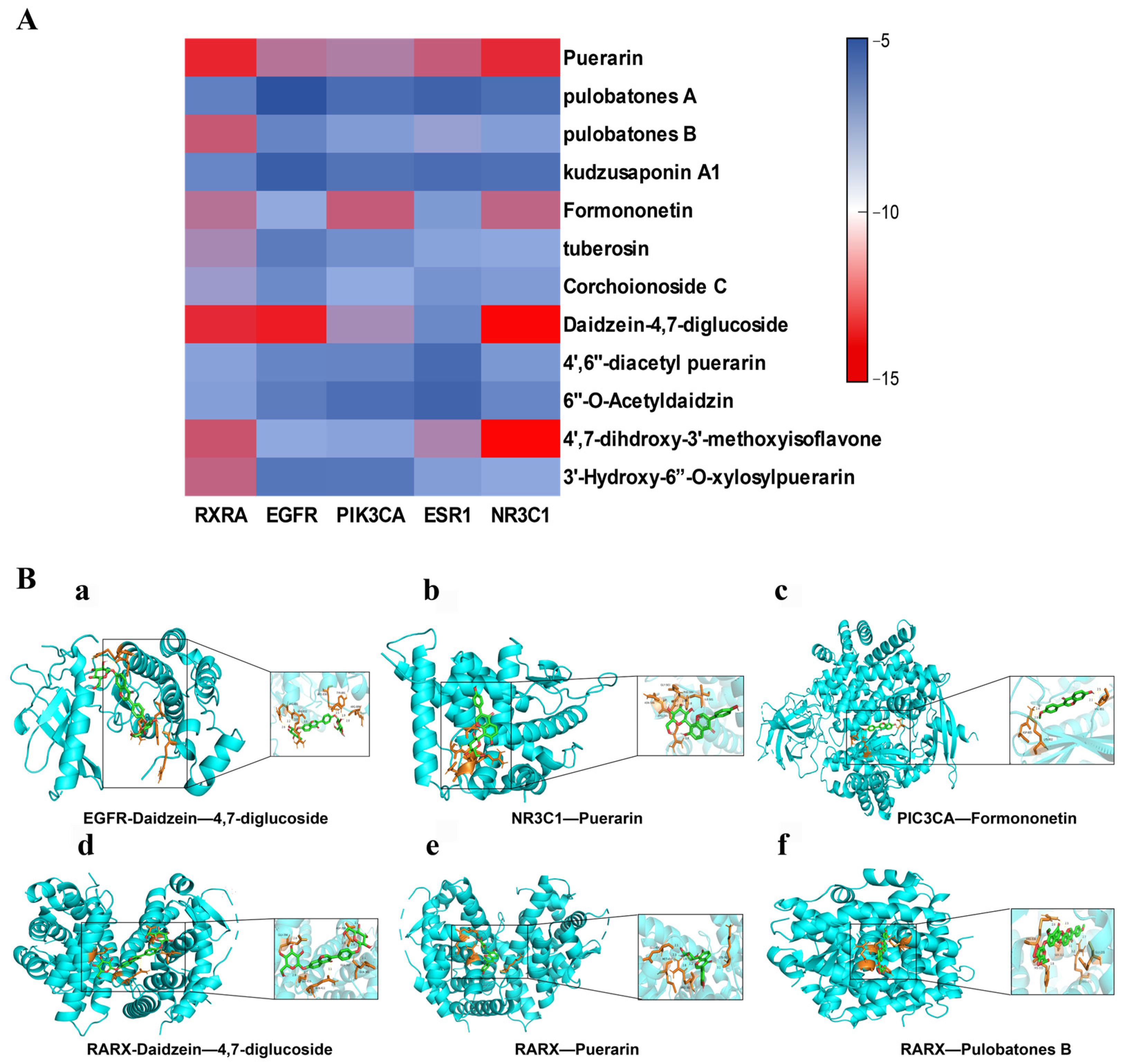 Pharmaceuticals 17 01675 g004