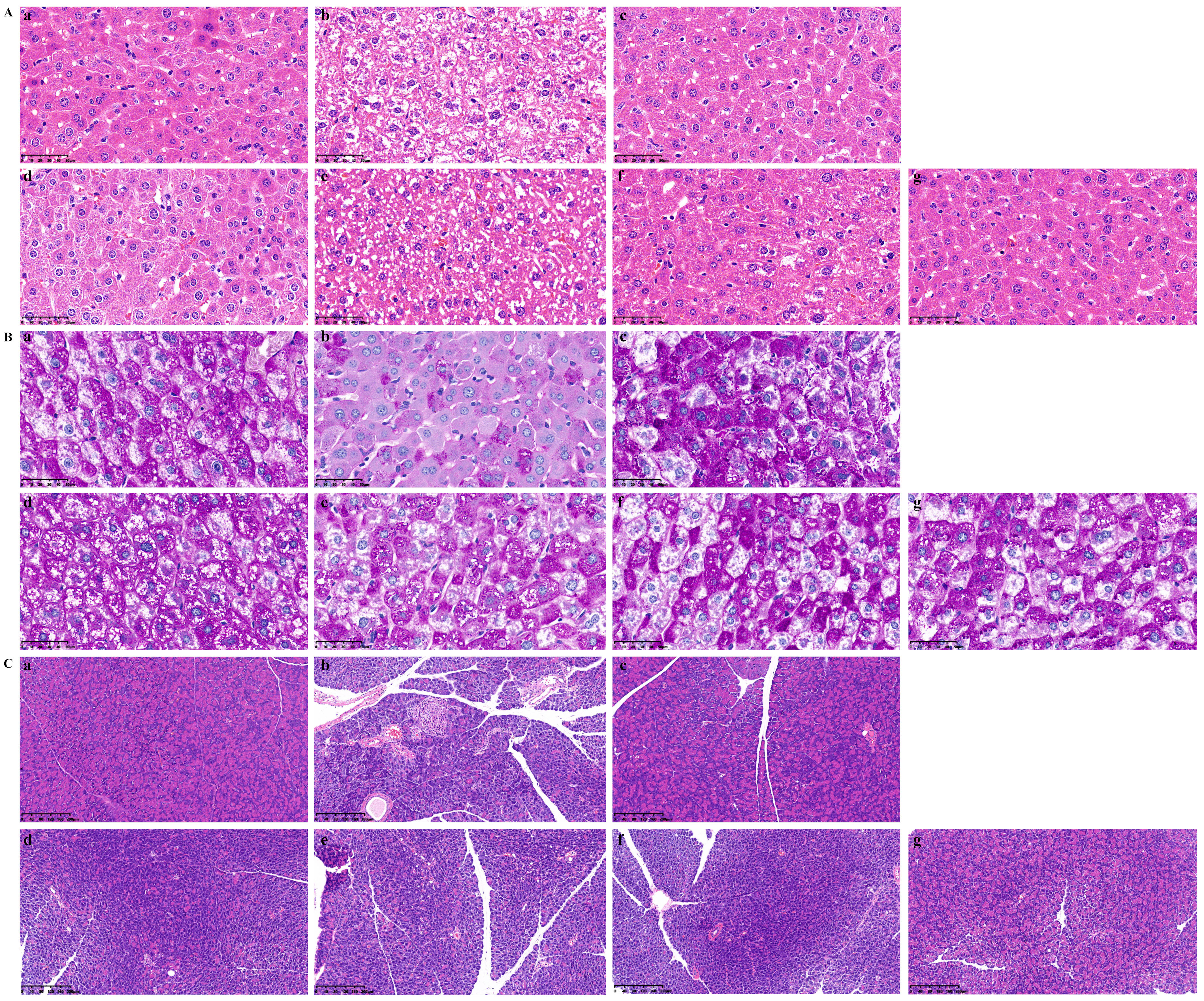 Pharmaceuticals 17 01675 g010