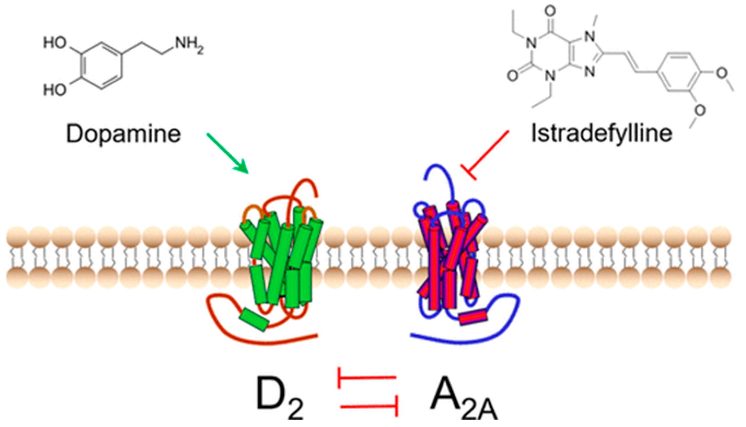 Pharmaceuticals 17 01688 g004