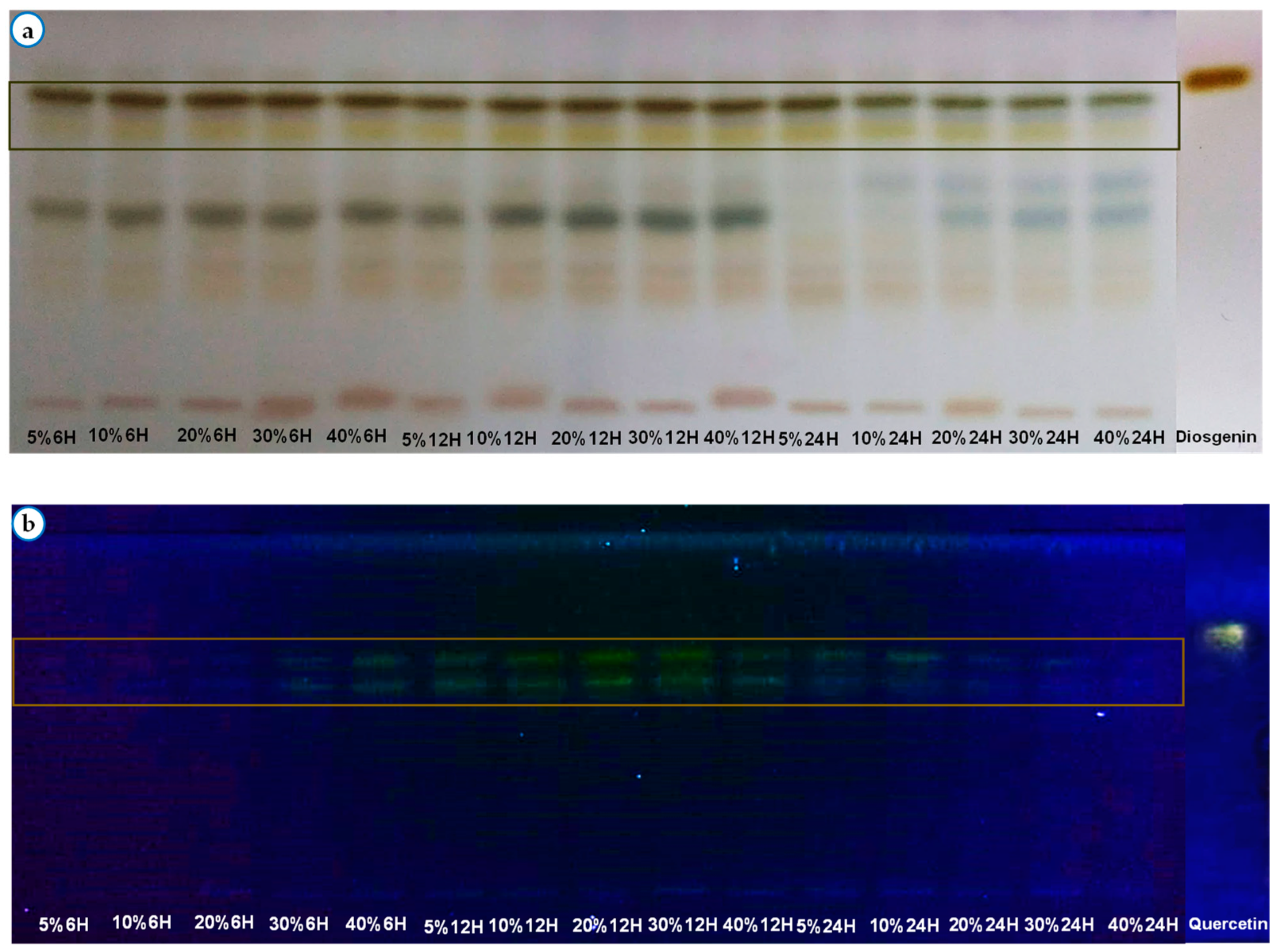 Pharmaceuticals 17 01698 g004