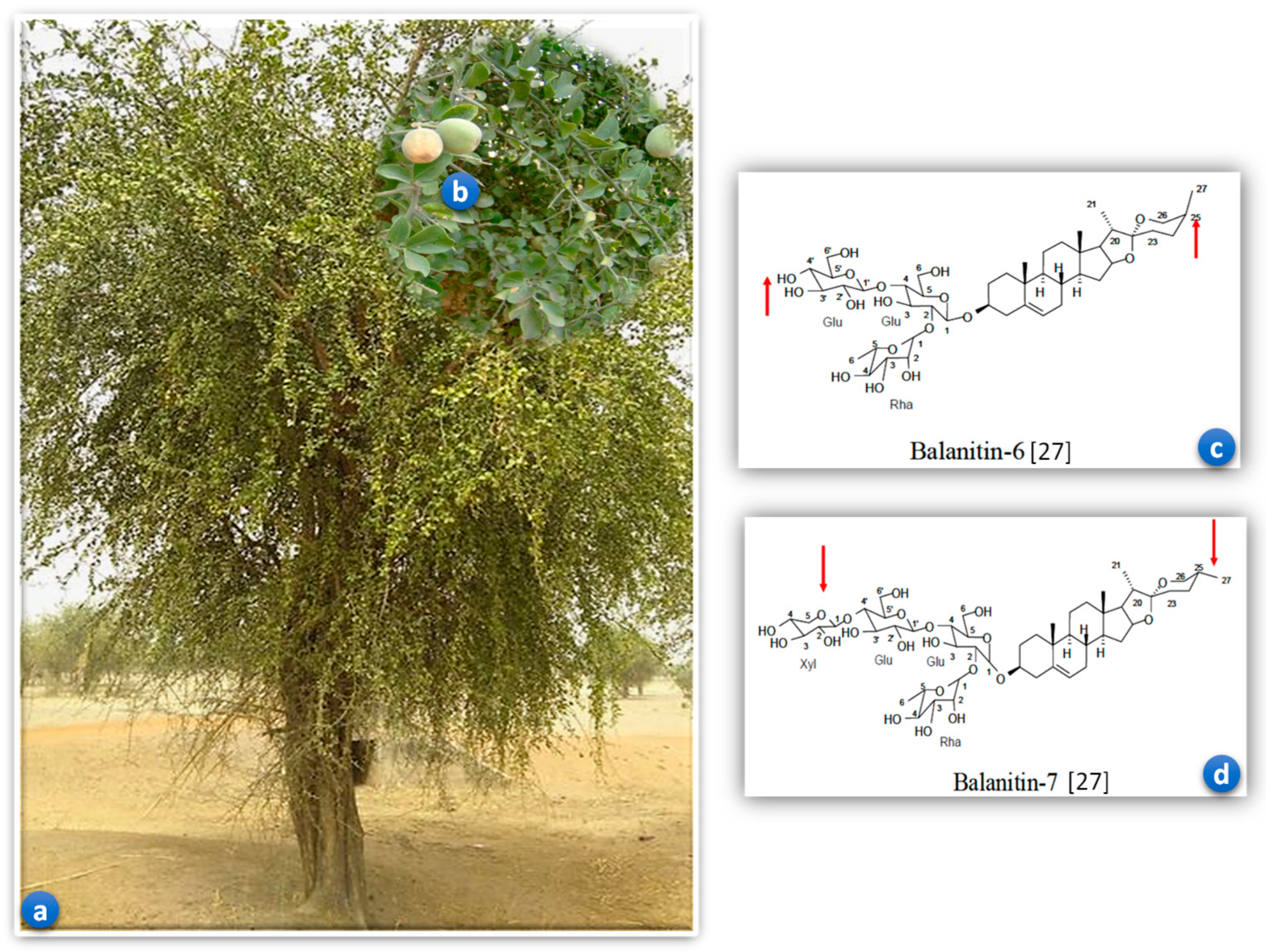 Pharmaceuticals 17 01698 g006