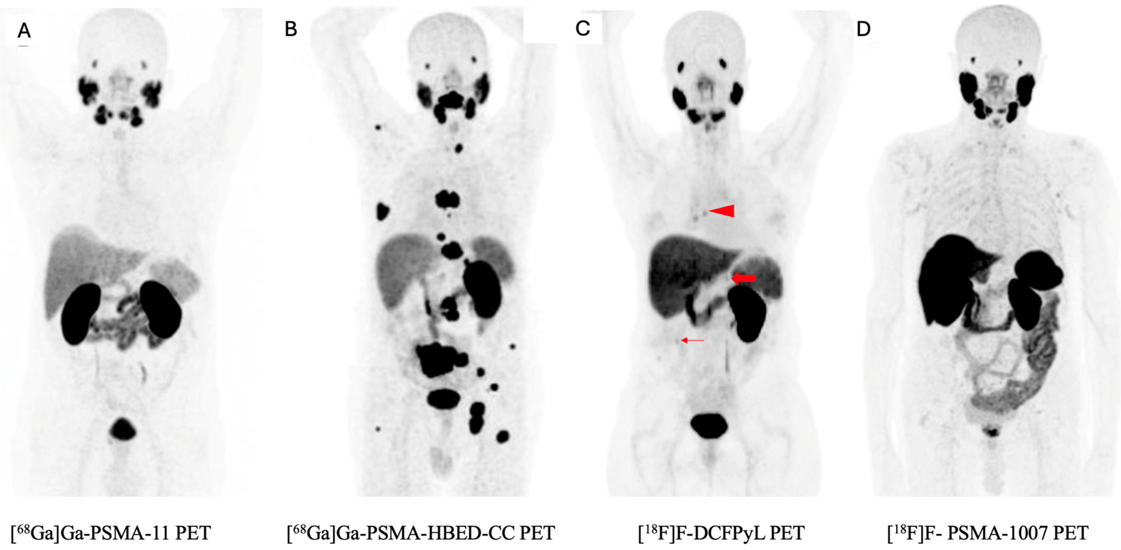 Pharmaceuticals 17 01721 g001