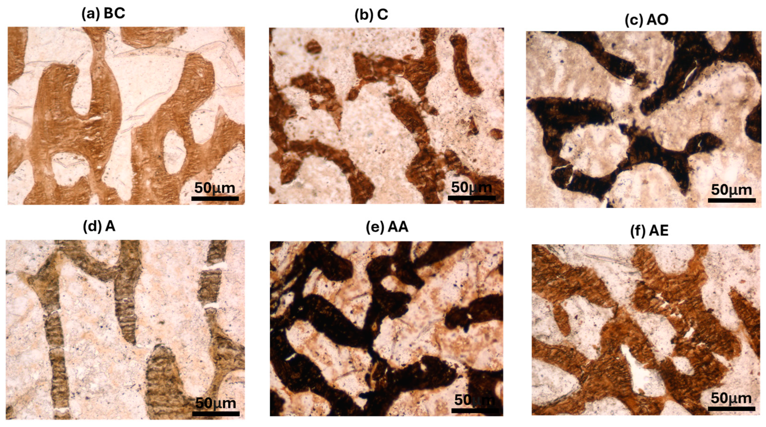 Pharmaceuticals 17 01730 g010