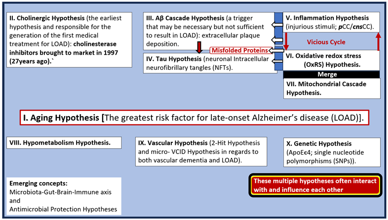Pharmaceuticals 17 01741 i001