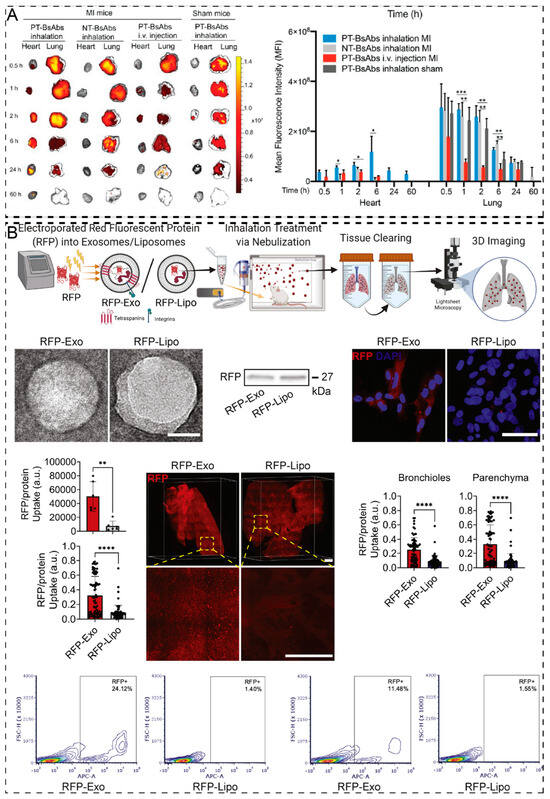 Pharmaceuticals 17 01742 g004