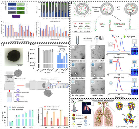 Pharmaceuticals 17 01742 g005