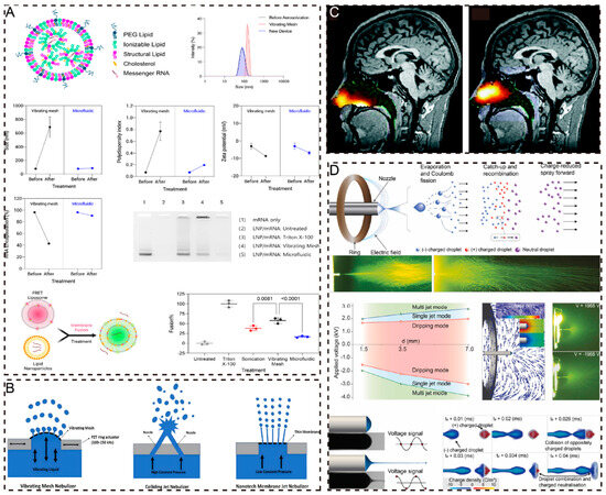 Pharmaceuticals 17 01742 g006