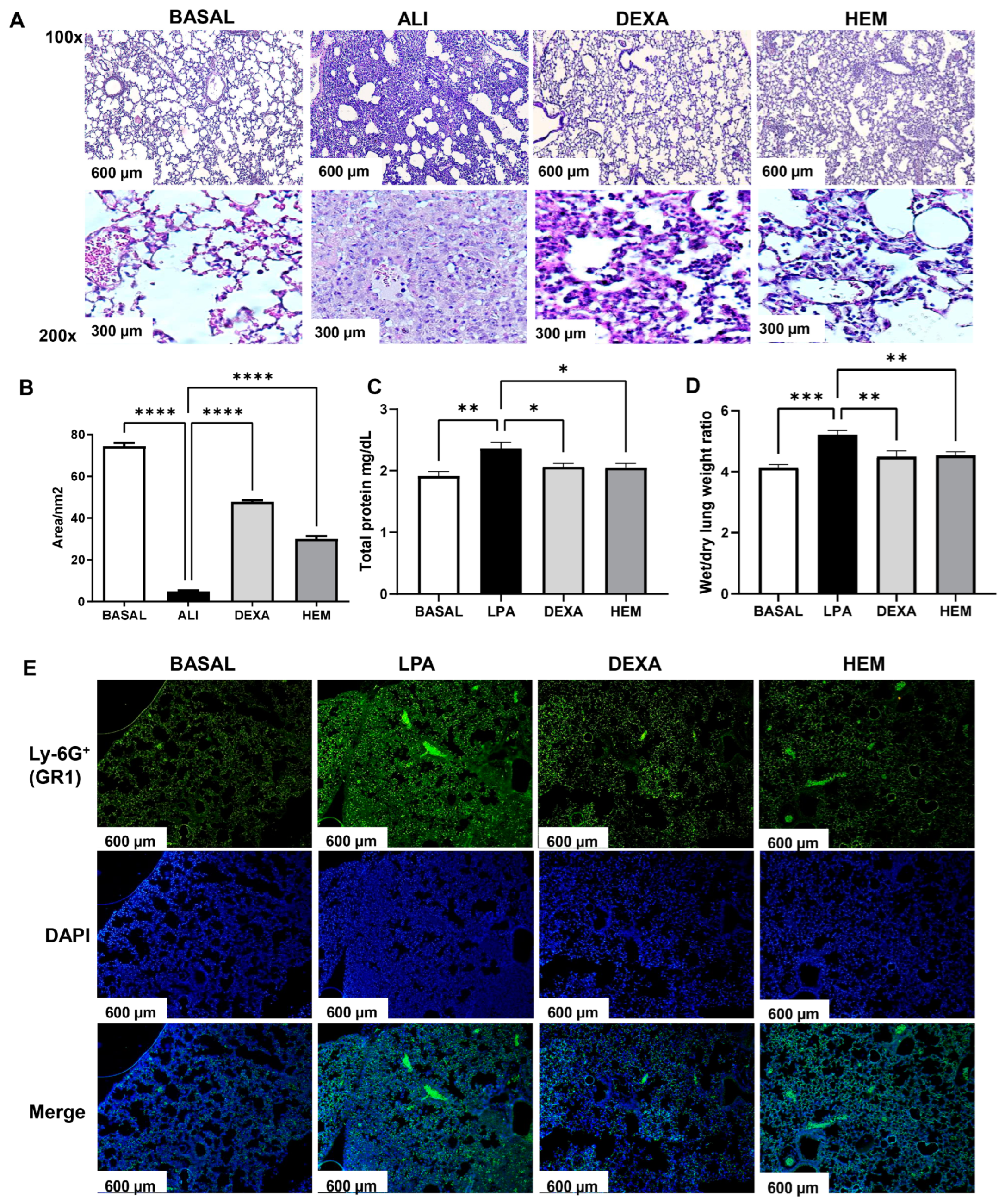 Pharmaceuticals 18 00008 g002