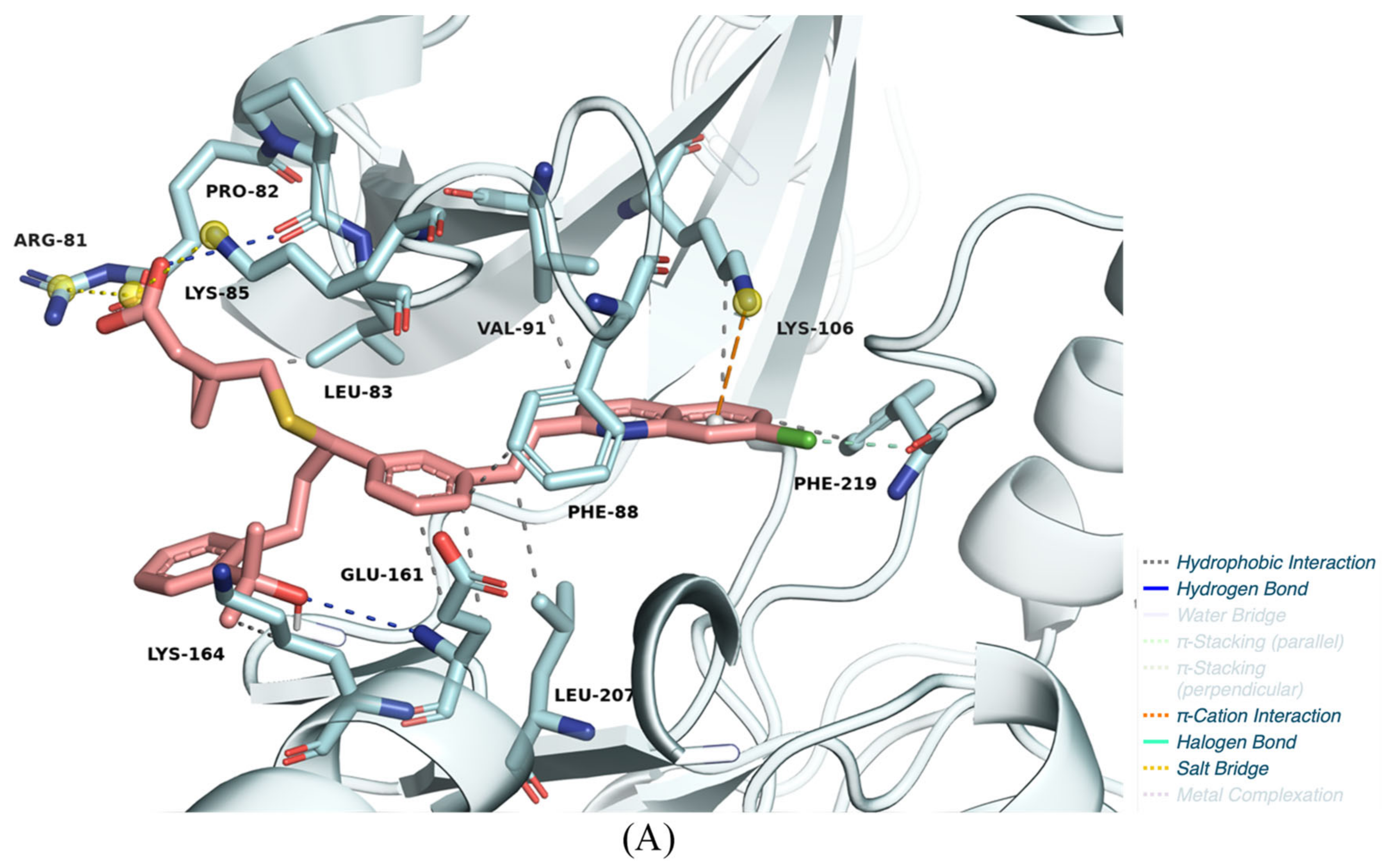 Pharmaceuticals 18 00013 g008a