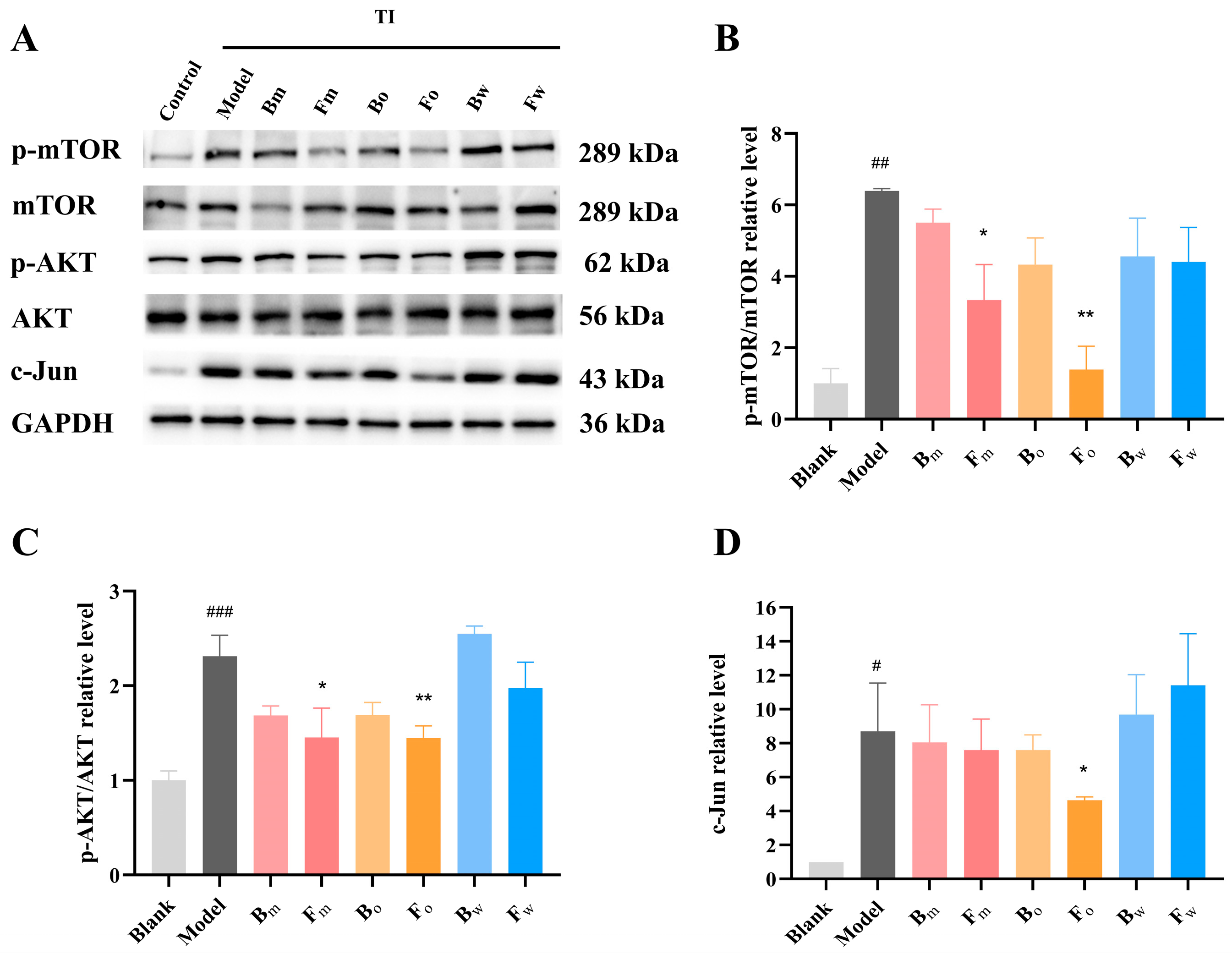 Pharmaceuticals 18 00020 g007