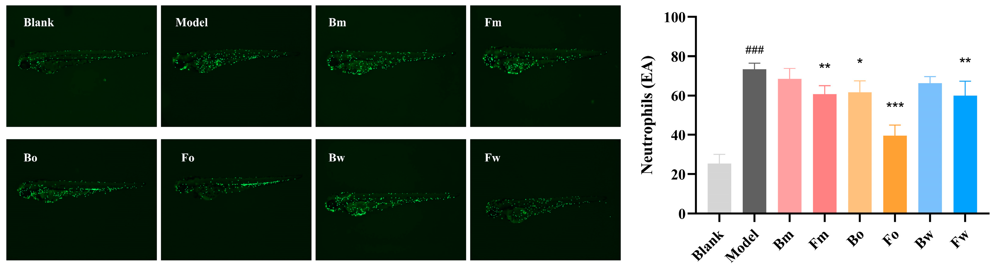 Pharmaceuticals 18 00020 g008