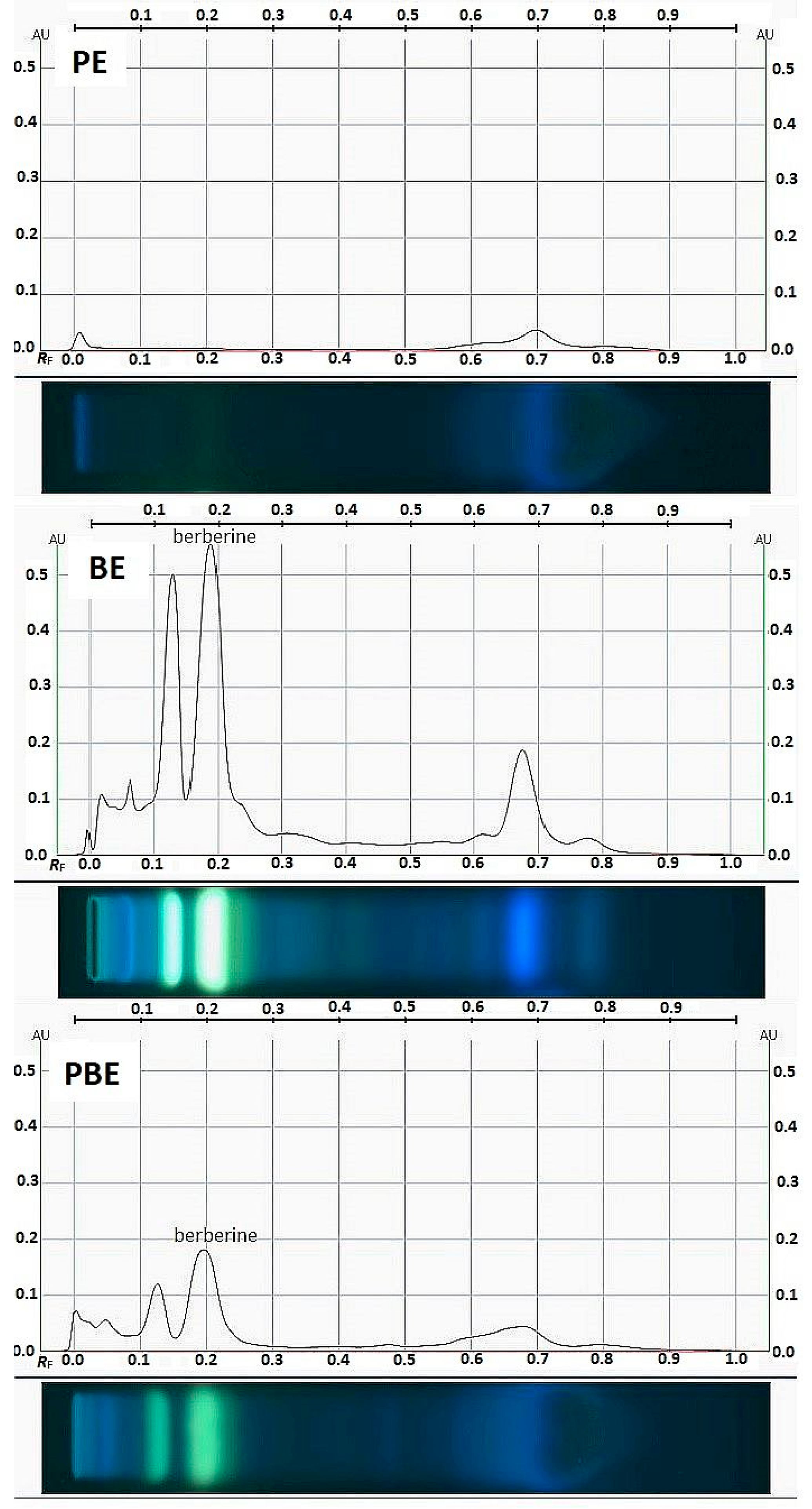 Pharmaceuticals 18 00027 g001