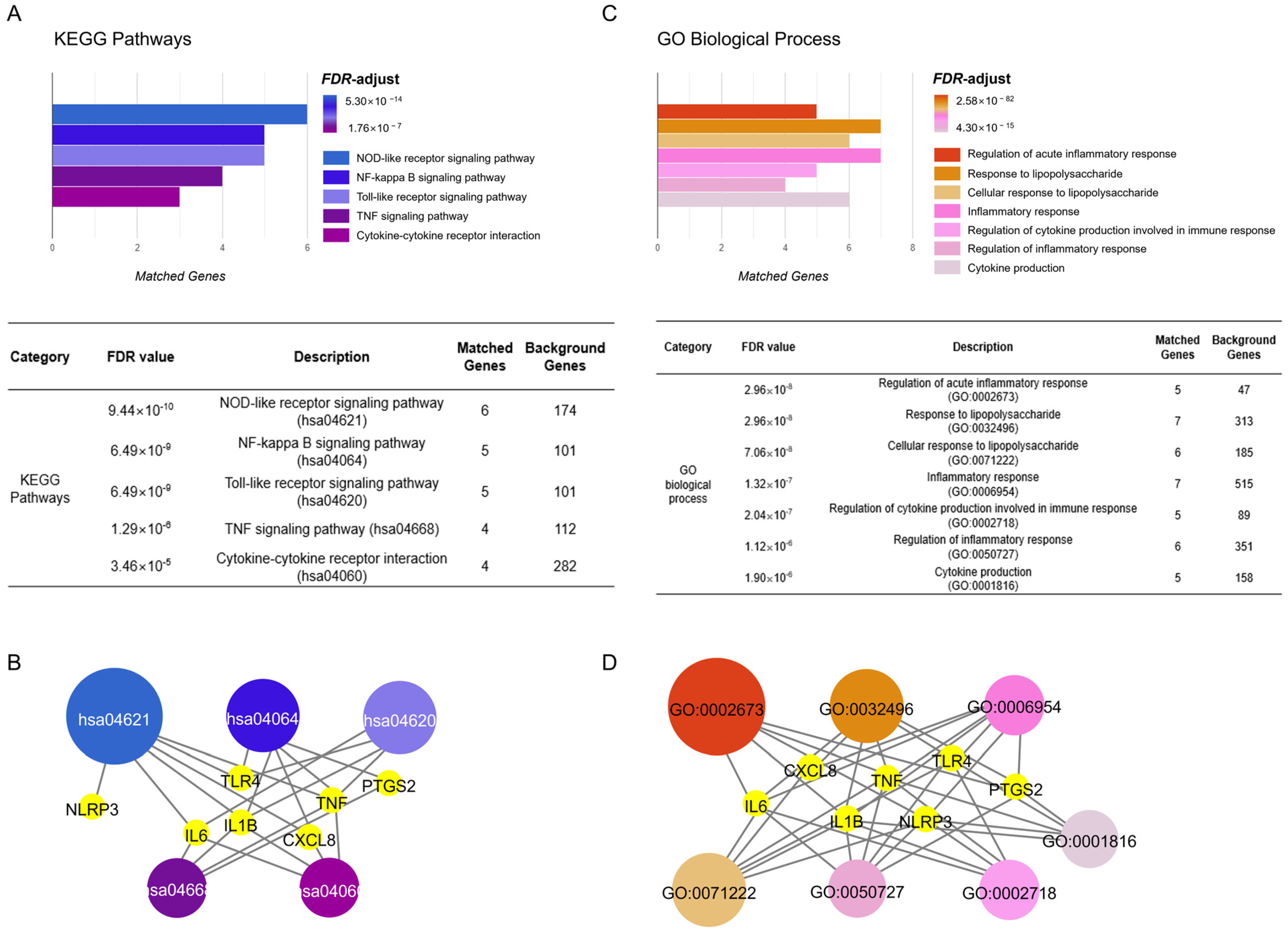 Pharmaceuticals 18 00029 g004